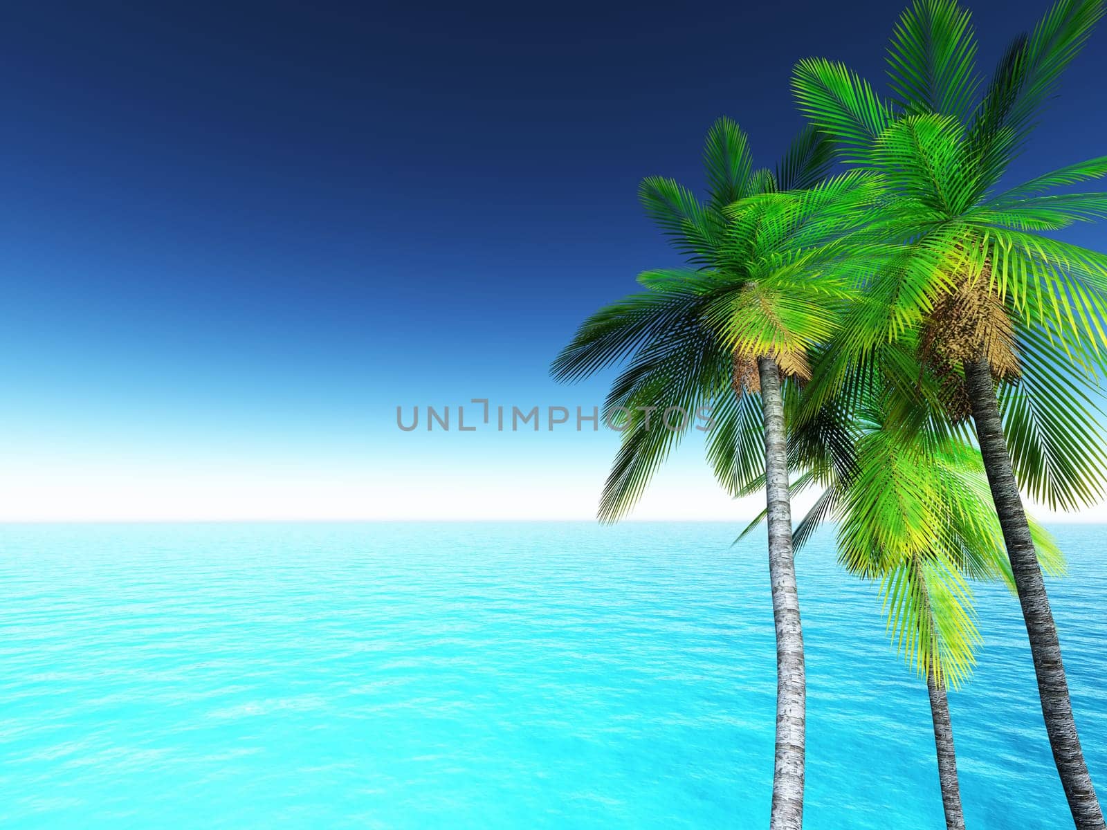 3D render of a tropical landscape with palm trees and blue ocean