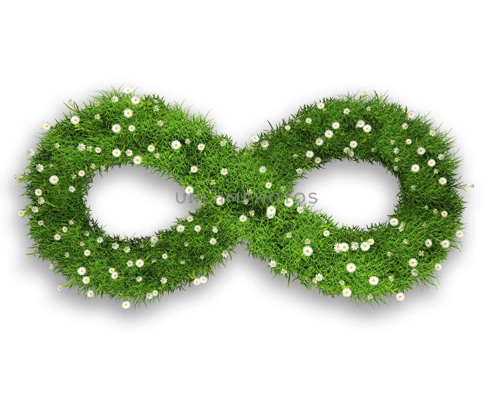 3D render of grass and daisies in an infinity symbol shape