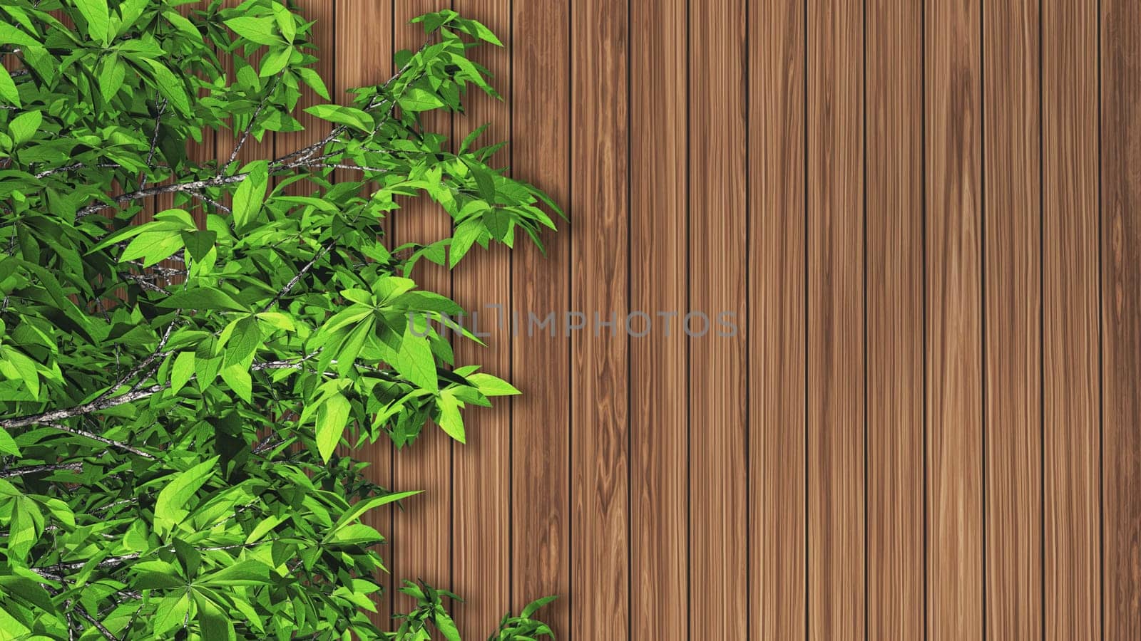 3D render of leaves against a wooden texture