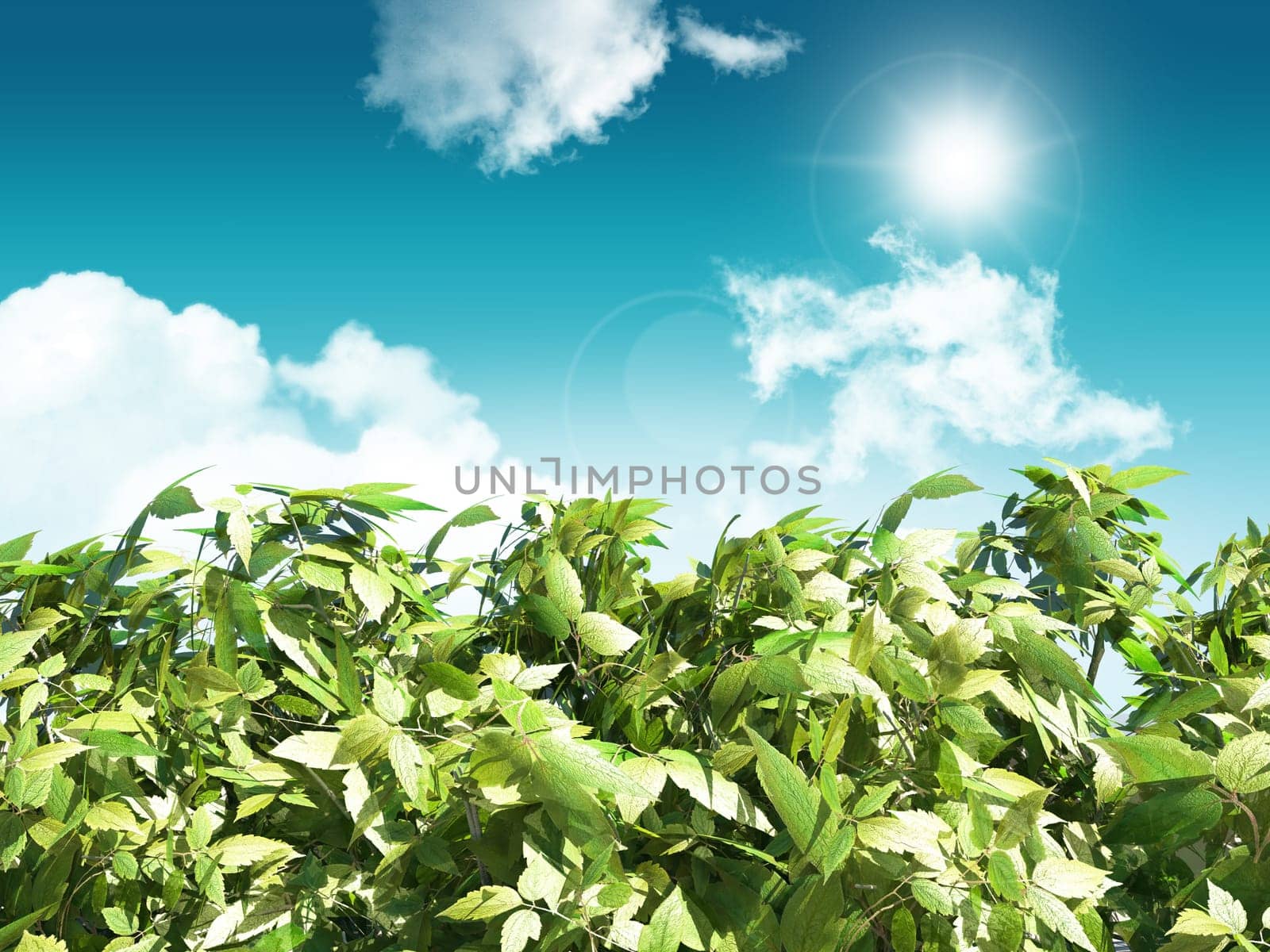 3D render of leaves on a sunny blue sky background
