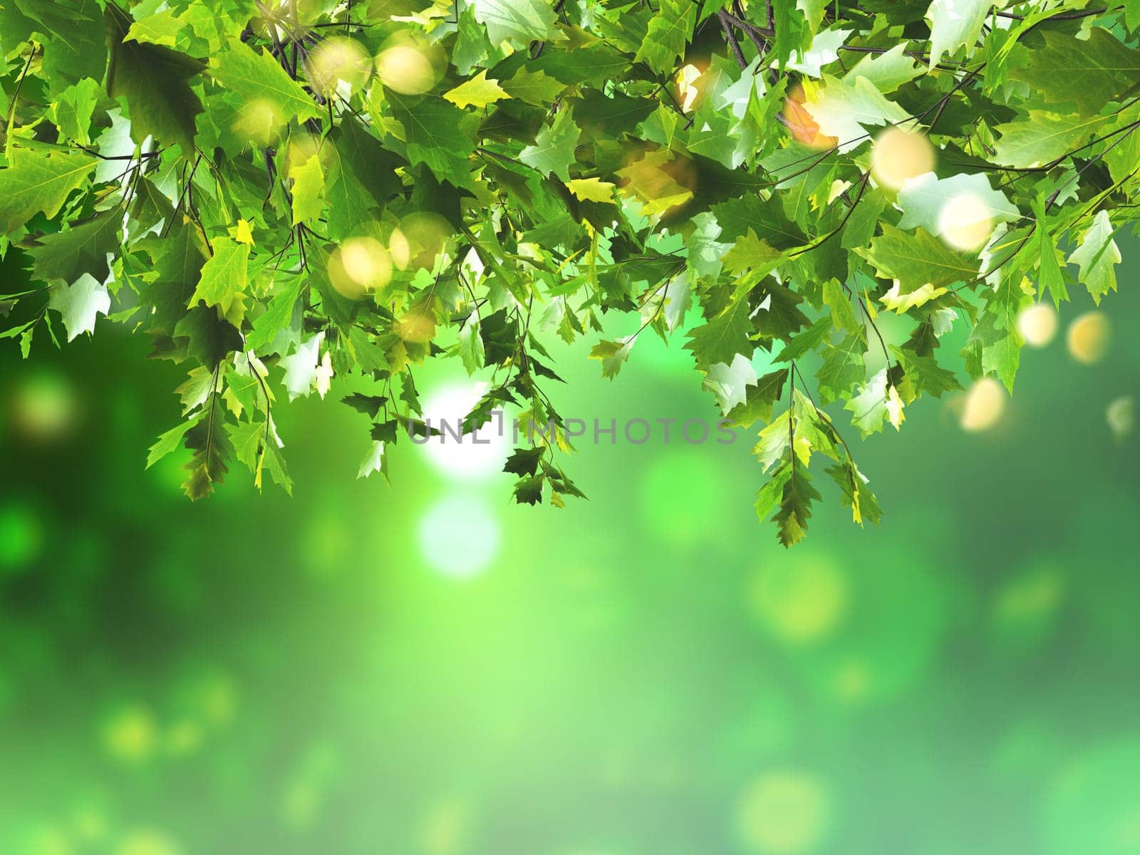 3D render of leaves on a defocussed background
