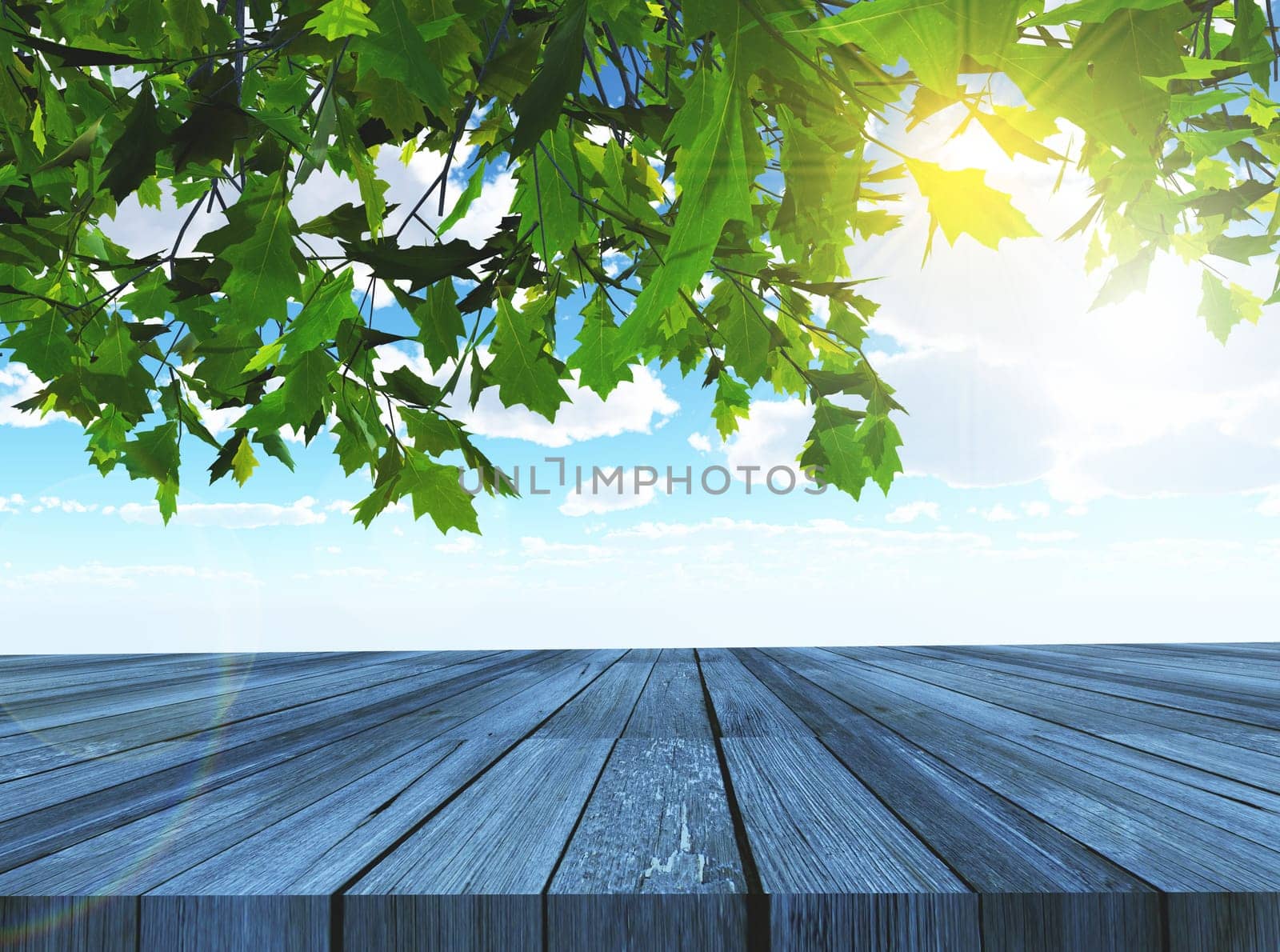 3D render of trees and wooden table looking out to a blue sky