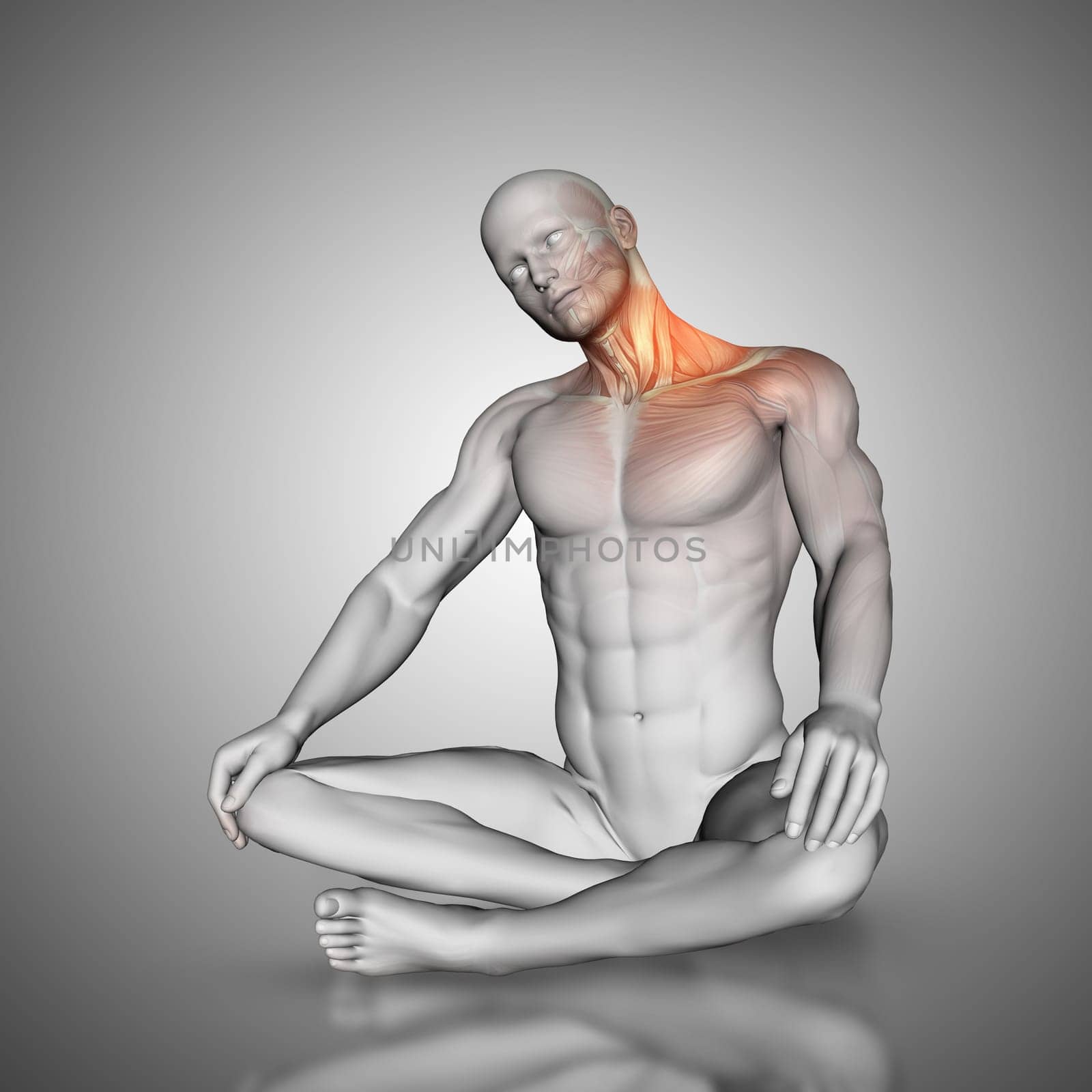 3d render of a male figure in neck stretch pose showing muscles used