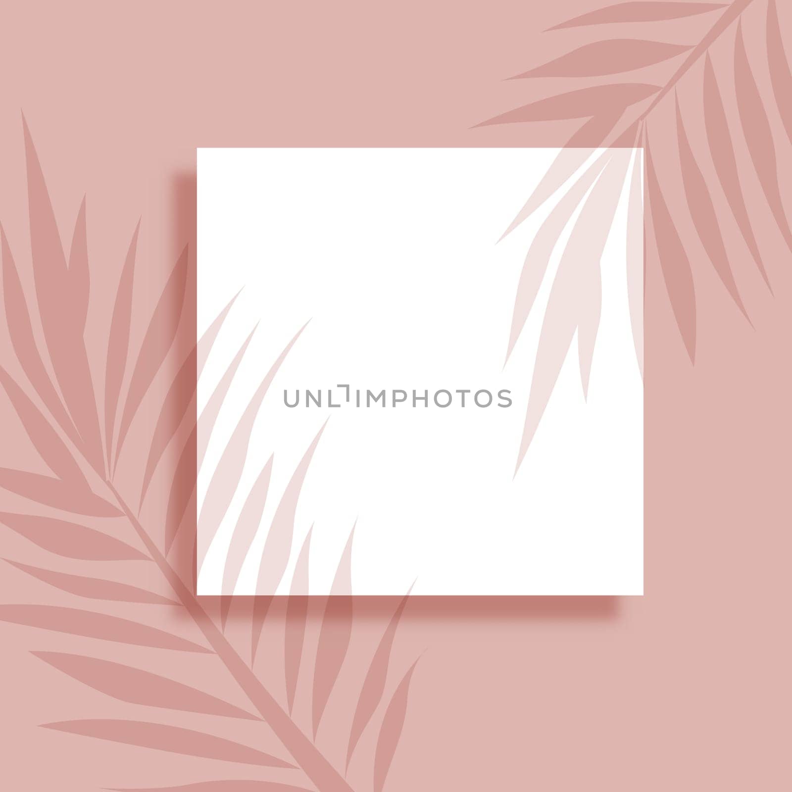 Abstract background with blank picture and plant leaves shadow overlay