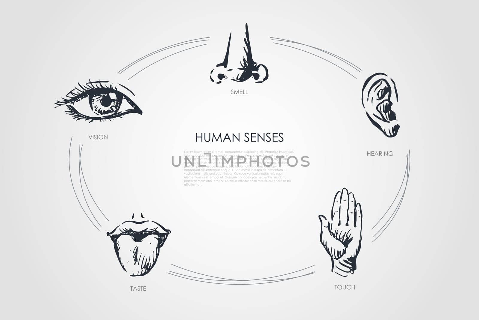 Human senses - vision, taste, touch, hearing, smell vector concept set. Hand drawn sketch isolated illustration