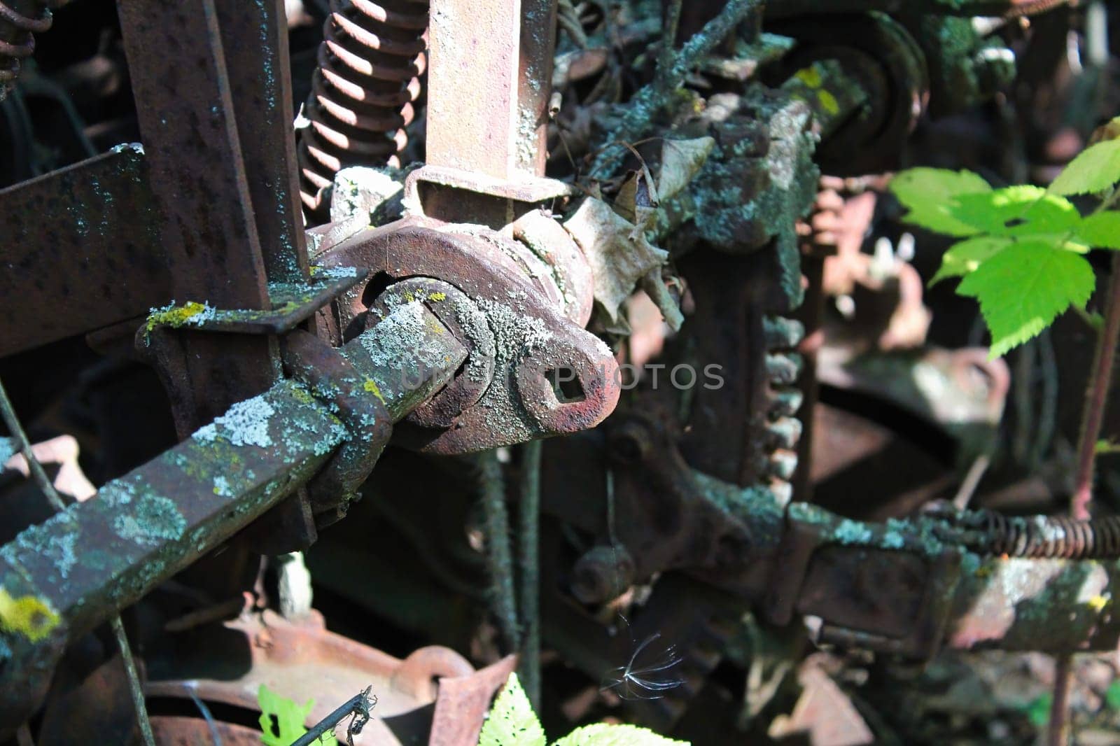 Misc machinery parts rusting and being covered by lichen.