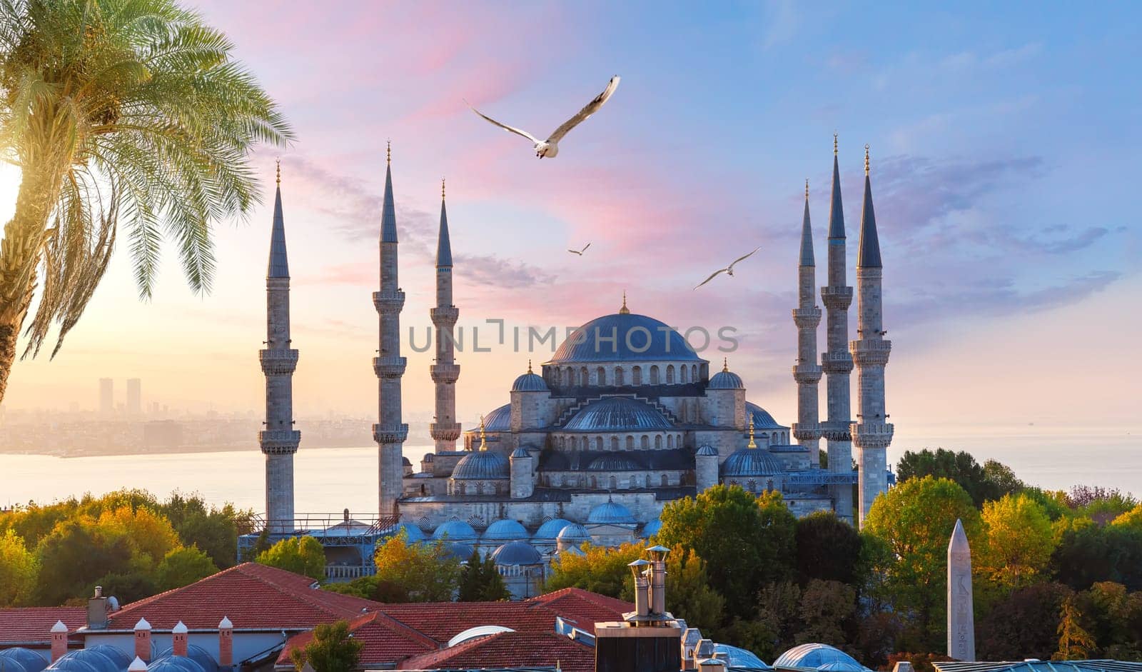 Sultanahmet or the Blue Mosque at sunset, Istanbul view, Turkey.