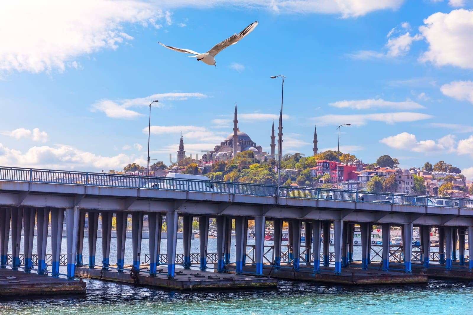 A bird flying over the Ataturk Bridge and the Suleymaniye Mosque in the background, Istanbul.