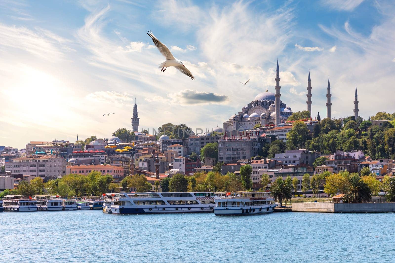 A Seagull flies by the Suleymaniye Mosque in the Golden Horn inlet, Istanbul.