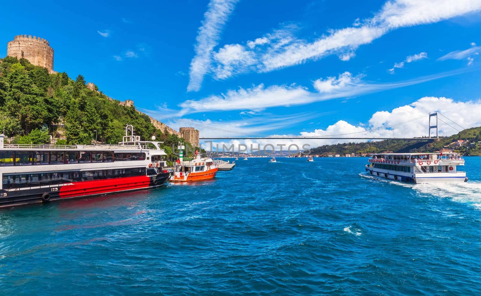 Ships in the Bosphorus near the Rumeli Hisari castle, Istanbul.