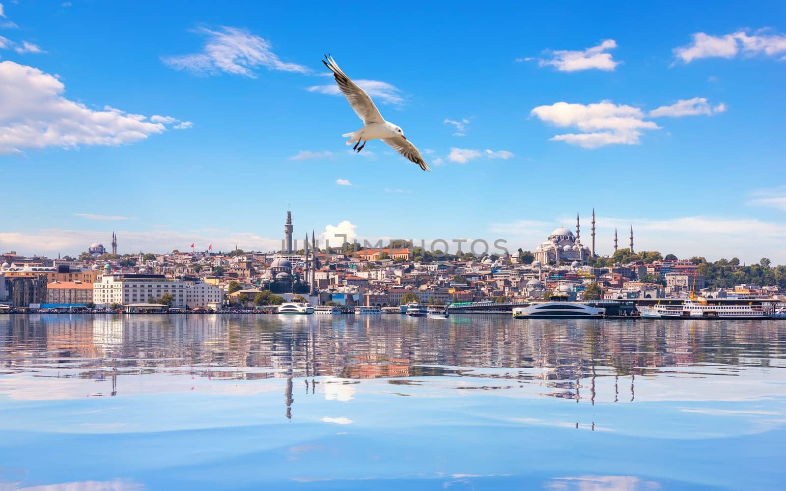 Seagull flies by the Suleymaniye Mosque in the Bosphorus Straight, Istanbul.