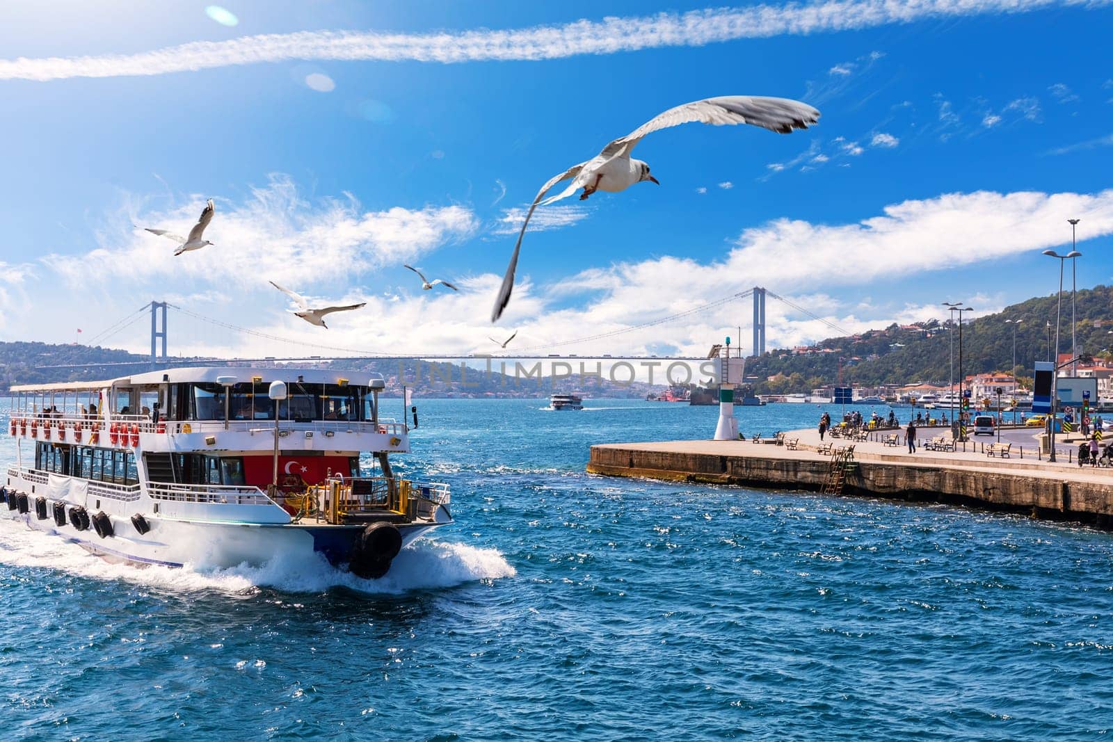 Ship is sailing near the Bosphorus bridge with seagulls around it, Istanbul.