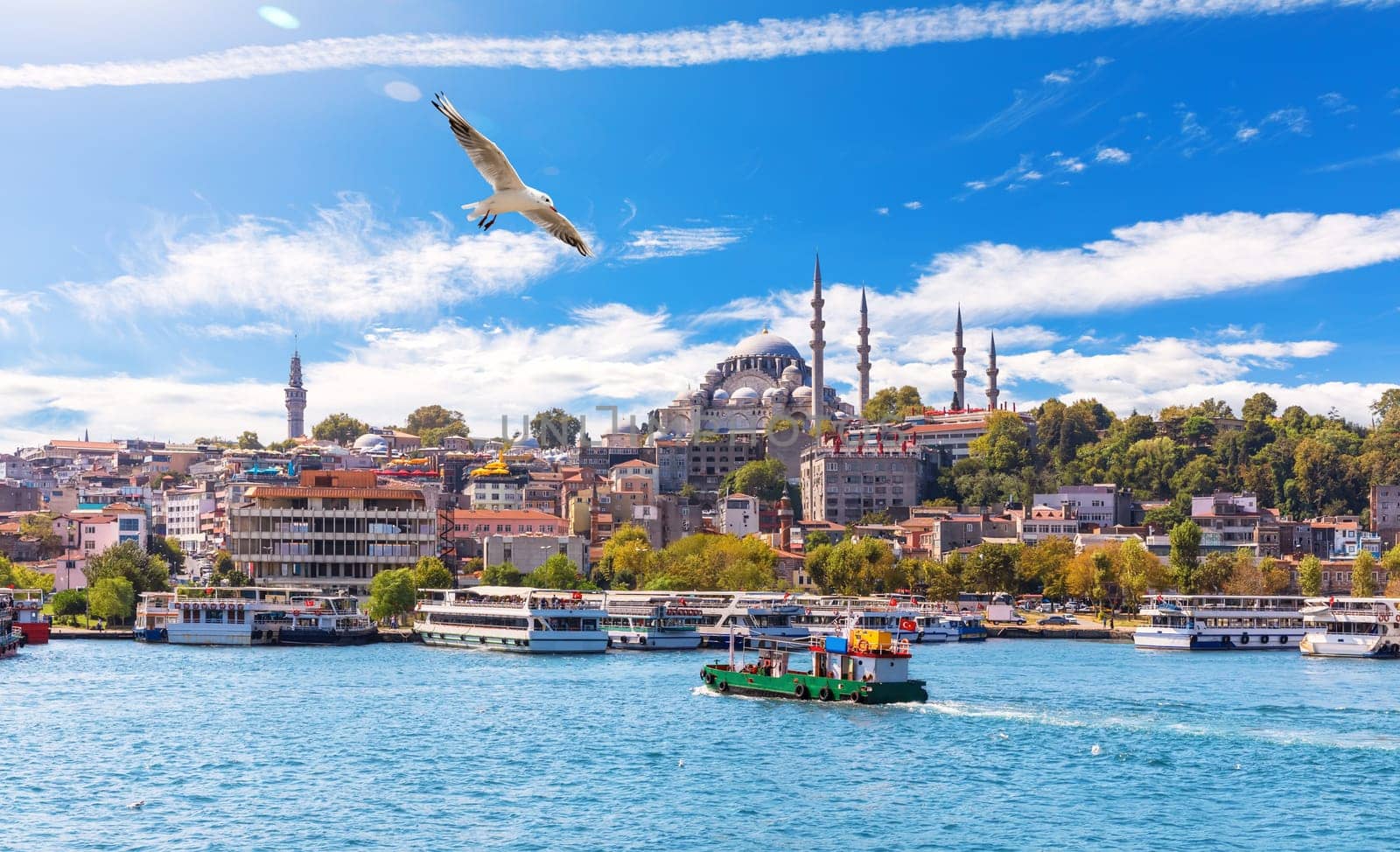 Seagull flies by the Eminonu Pier and Suleymaniye Mosque, Istanbul.