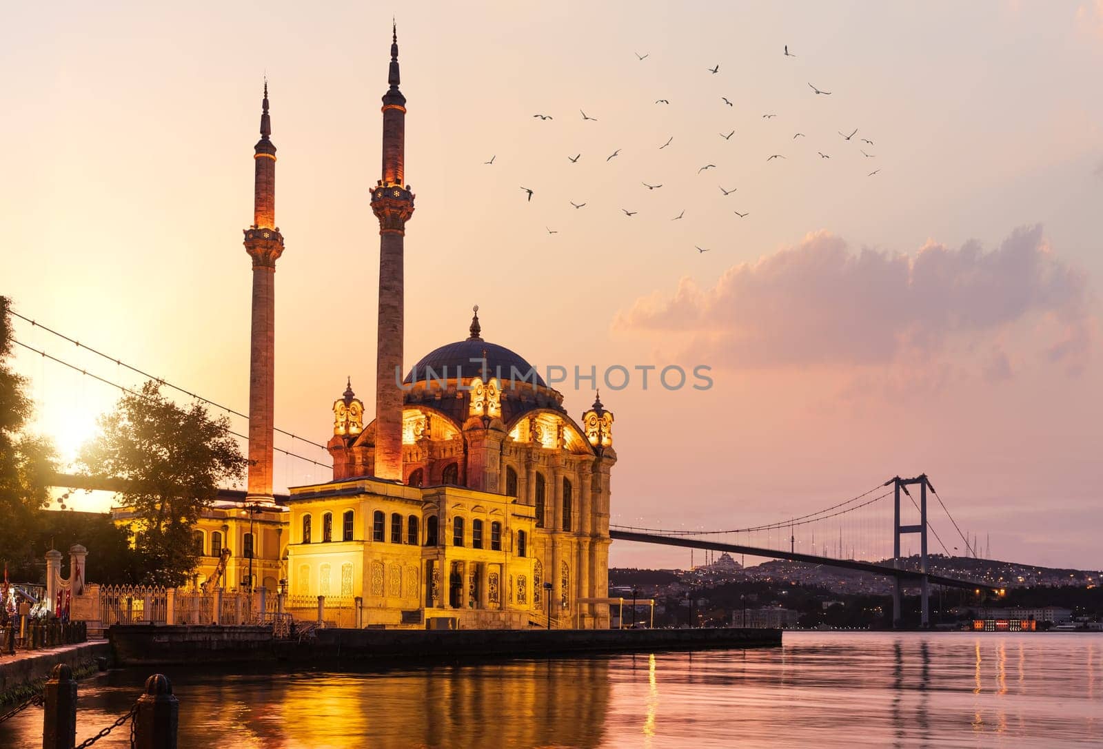 The Ortakoy Mosque and Bosphorus bridge at sunrise with many seagulls, Istanbul.