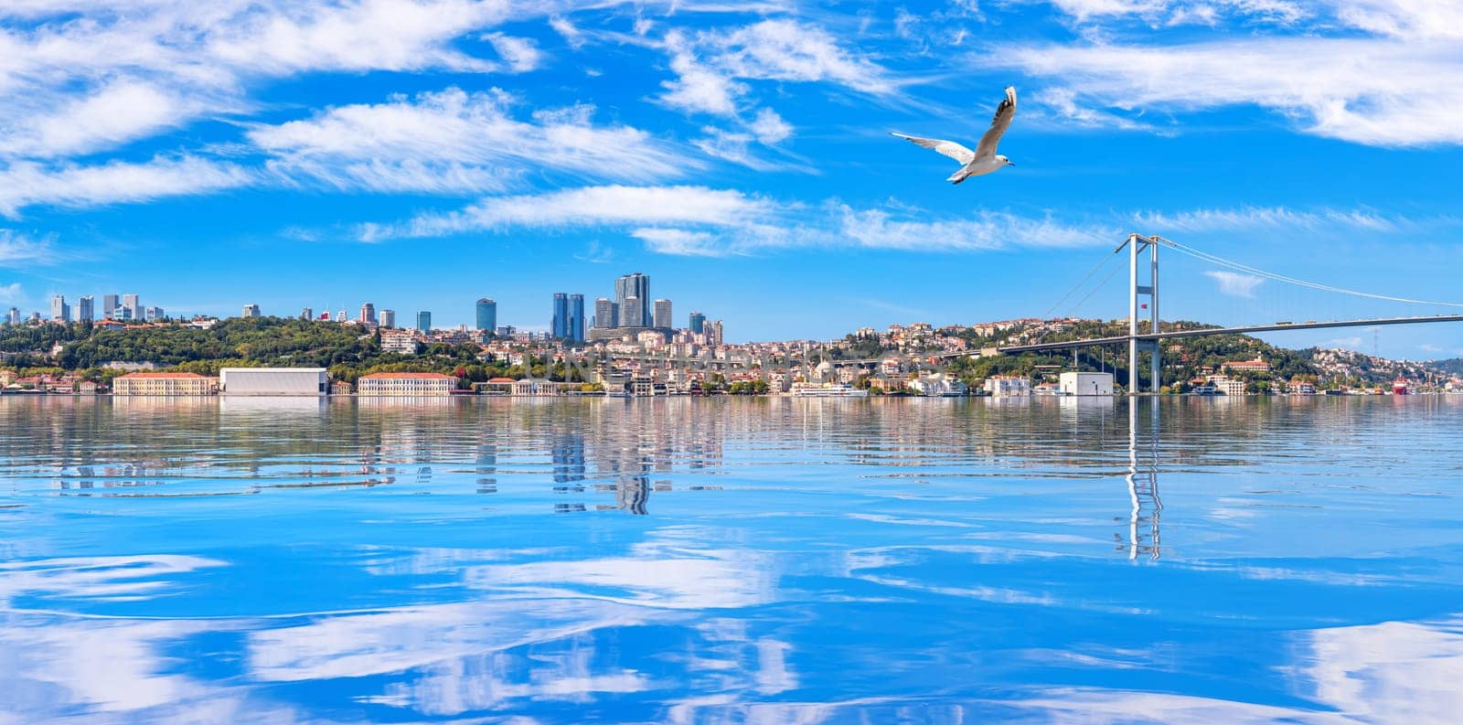 Istanbul coastline panorama with The Bosphorus bridge and skyscrappers on the background.