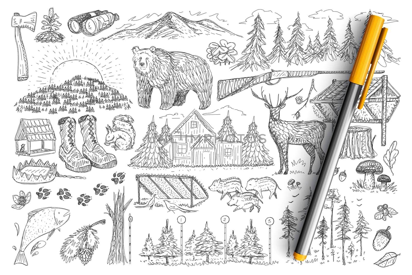 Accessories and tools of hunter doodle set. Collection of hand drawn gun, forest, binoculars, wild animals, house and footprints elements of hunting isolated on transparent background