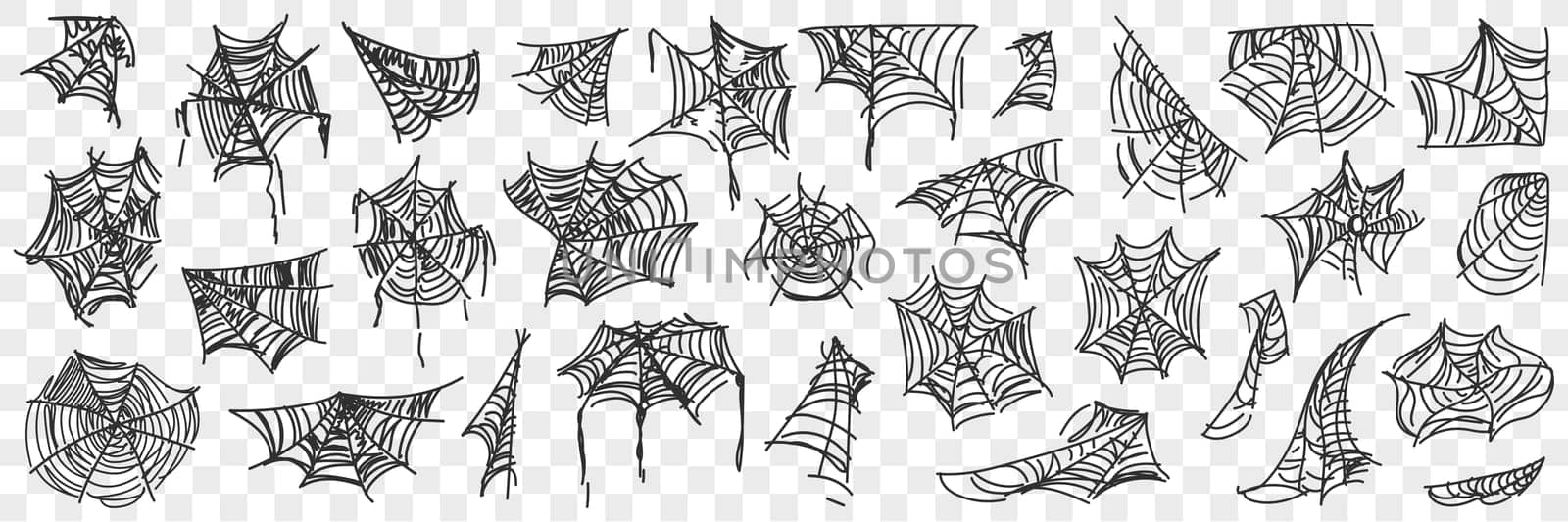 Spider web patterns doodle set. Collection of hand drawn silhouette of natural patterns of spider webs in corners on trees isolated on transparent background