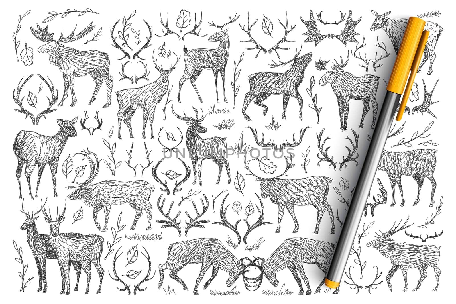 Forest wild deers doodle set. Collection of hand drawn deers with horns living in wild nature playing fighting isolated on transparent background. Illustration of animals for kids