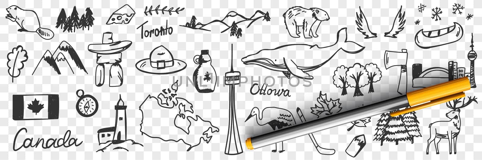 Canadian symbols and signs doodle set. Collection of hand drawn canadian traditional maple leaf flag wildlife mountains deers snow heron beer whale and names isolated on transparent background