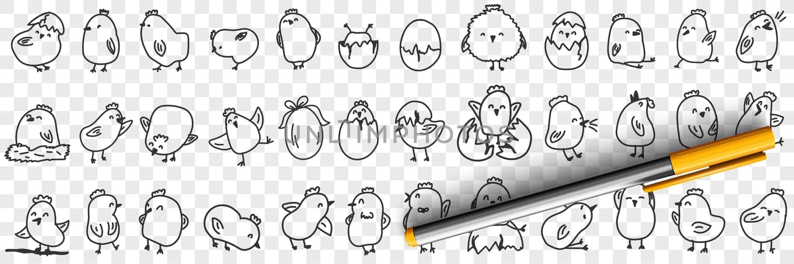 Small chicks on farm doodle set. Collection of hand drawn cute funny positive chicks eating hatching out of egg shell living in farmlands for children books isolated on transparent background