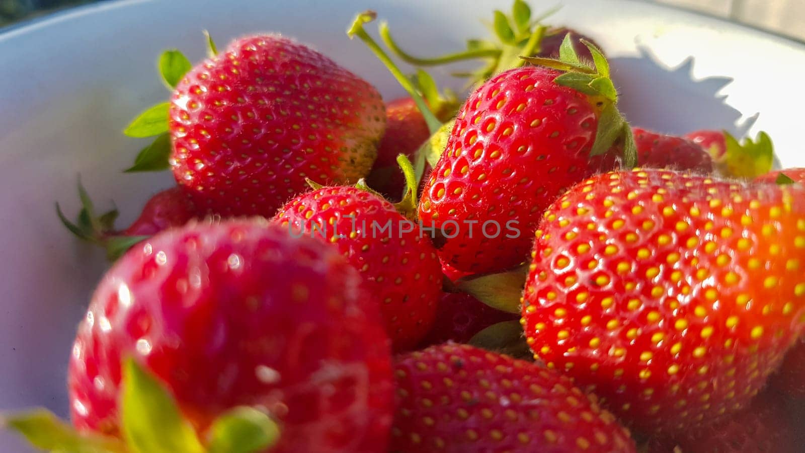 Fresh juicy ripe tasty organic strawberries in an old metal bowl outdoors on a sunny summer day. Strawberry red fresh berries and sweet juicy fruit