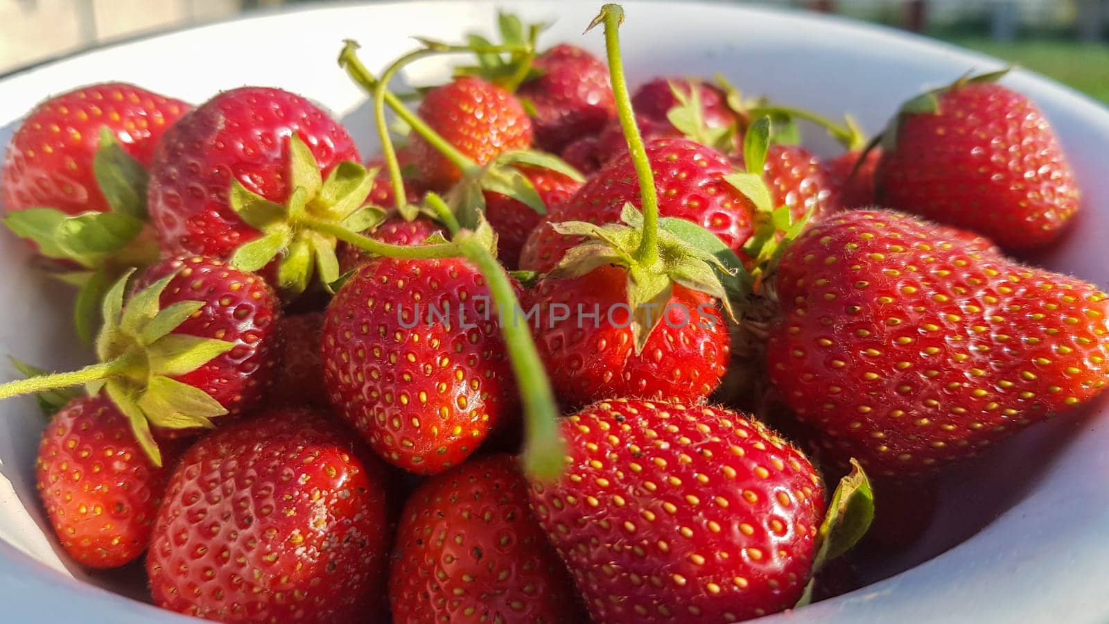 Fresh juicy ripe tasty organic strawberries in an old metal bowl outdoors on a sunny summer day. Strawberry red fresh berries and sweet juicy fruit