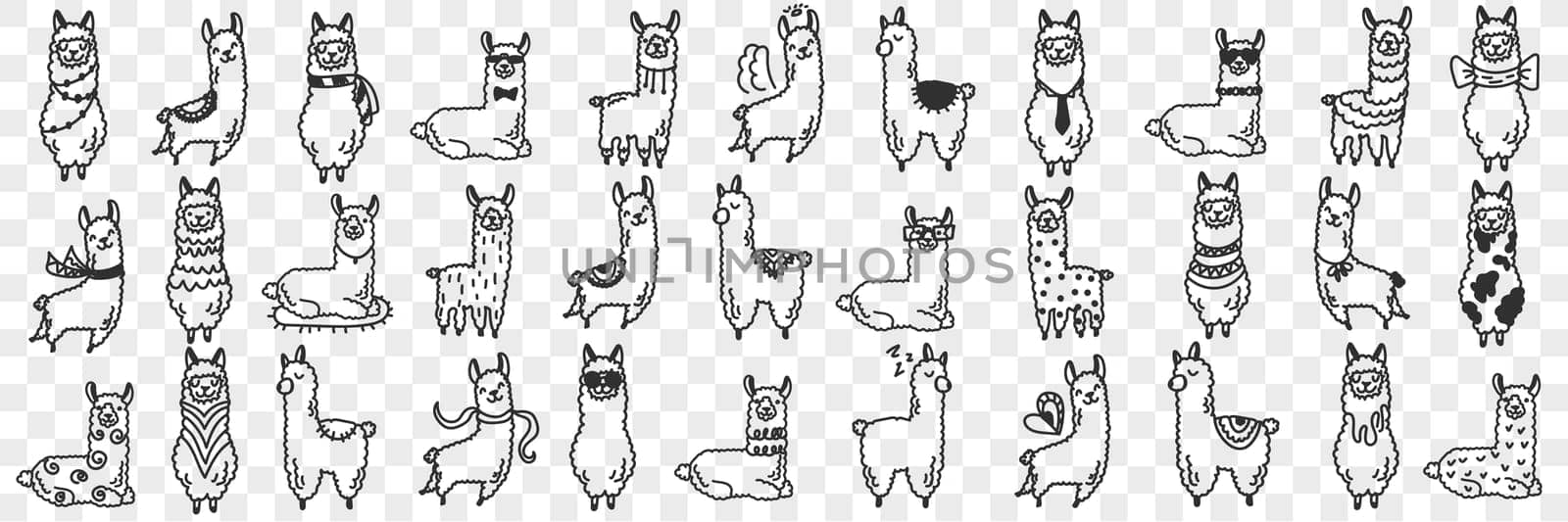 Funny alpacas animals doodle set. Collection of hand drawn various funny cute alpaca animals in different poses enjoying life isolated on transparent background