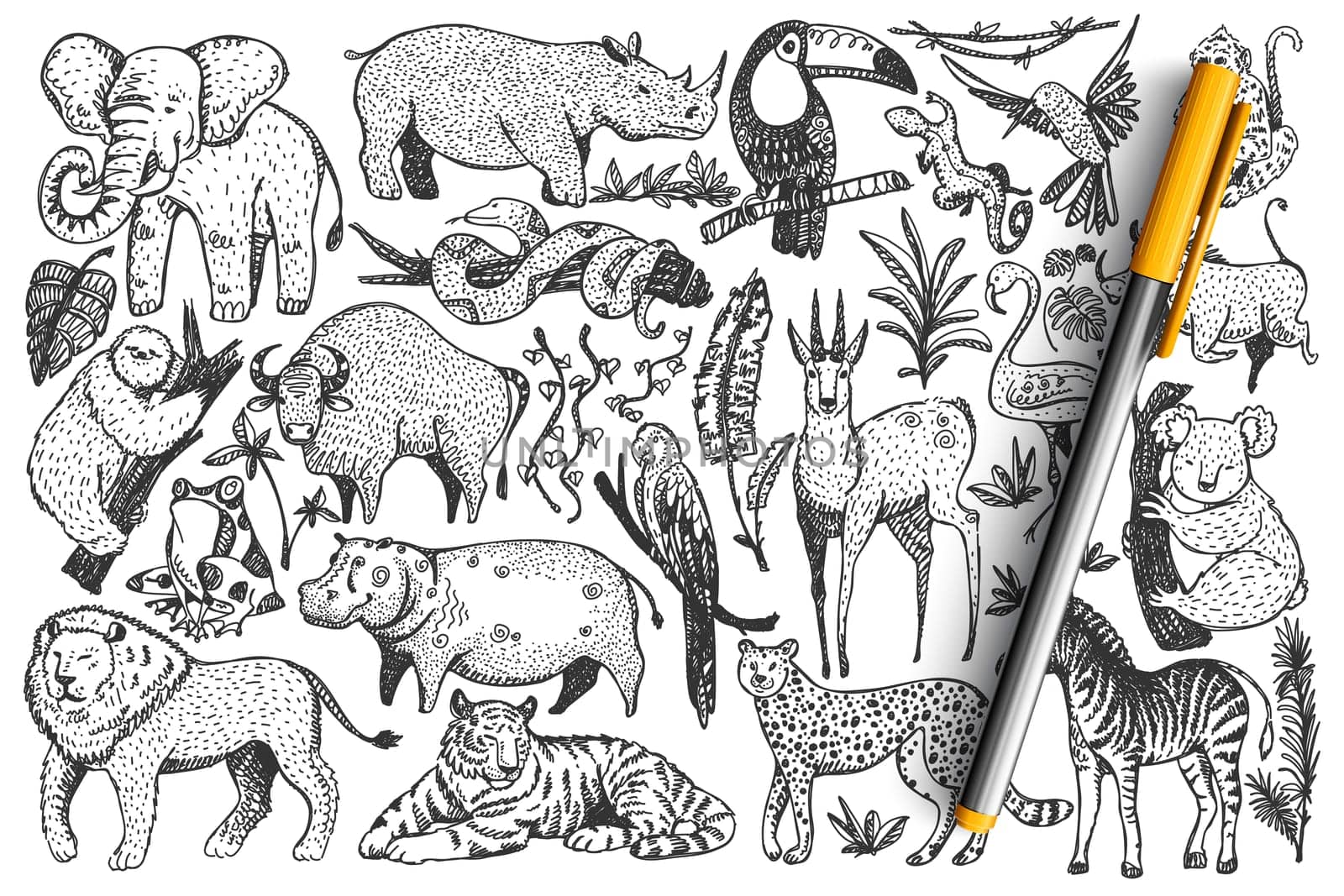 Animals doodle set. Collection of funny hand drawn cute wild african safari mammals isolated on white background. Illustration of leopard lion snakes monkey zebra giraffe elephant for kids.
