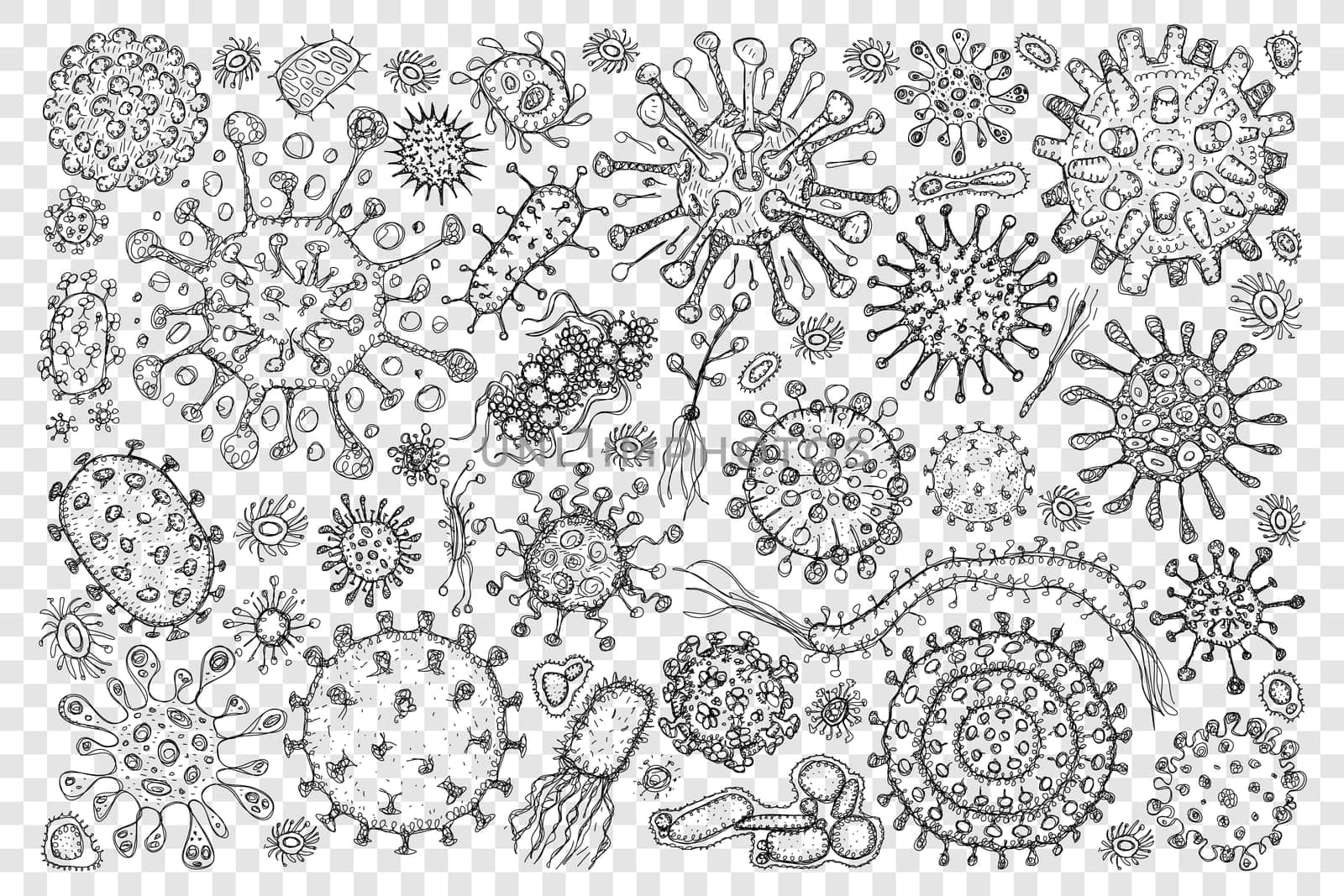 Bacteria virus molecule doodle set. Collection of hand drawn various microbe bacteria molecules of different shapes and sizes in microbiology isolated on transparent background