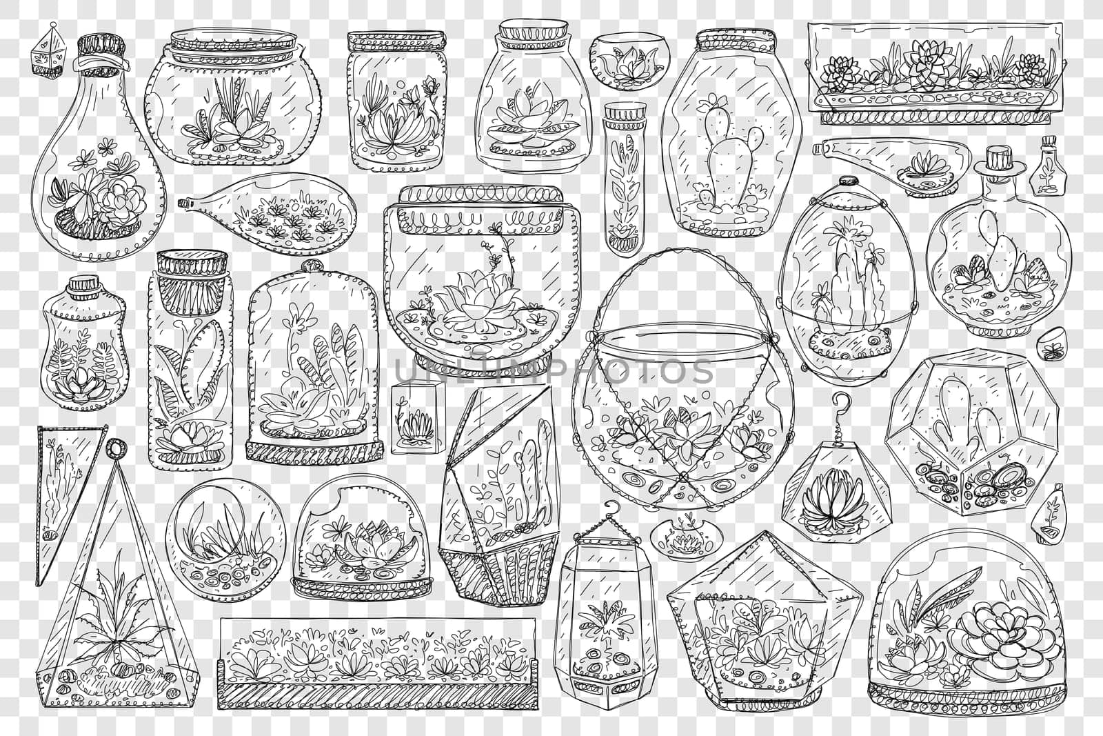 Jars for growing cactus doodle set. Collection of hand drawn glass jars and balls for keeping and growing plants cactus and japanese gardens isolated on transparent background