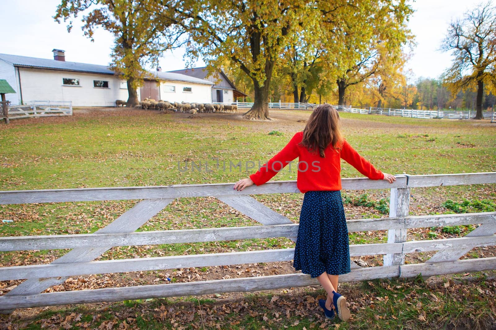 A beautiful girl in a red sweater stands near a white wooden fence. Beautiful warm autumn, interesting weekend, outdoor recreation.