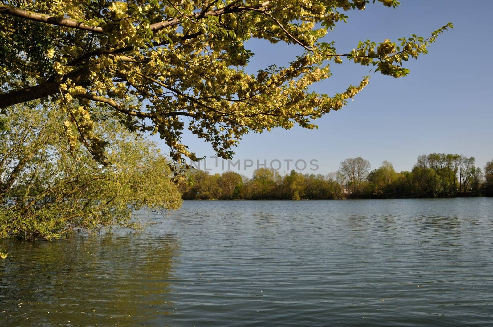 Banks of the Seine at Elbeuf in Normandy