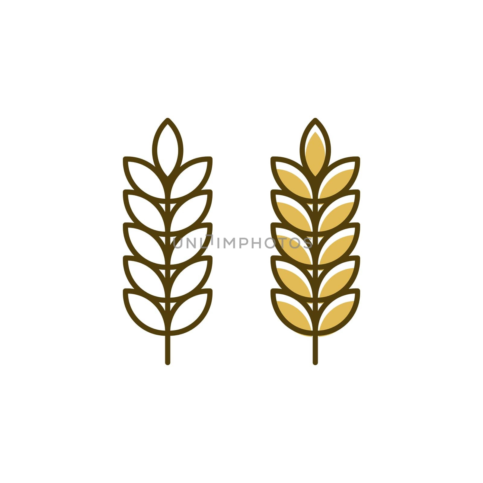 Agriculture wheat rice vector icon design template