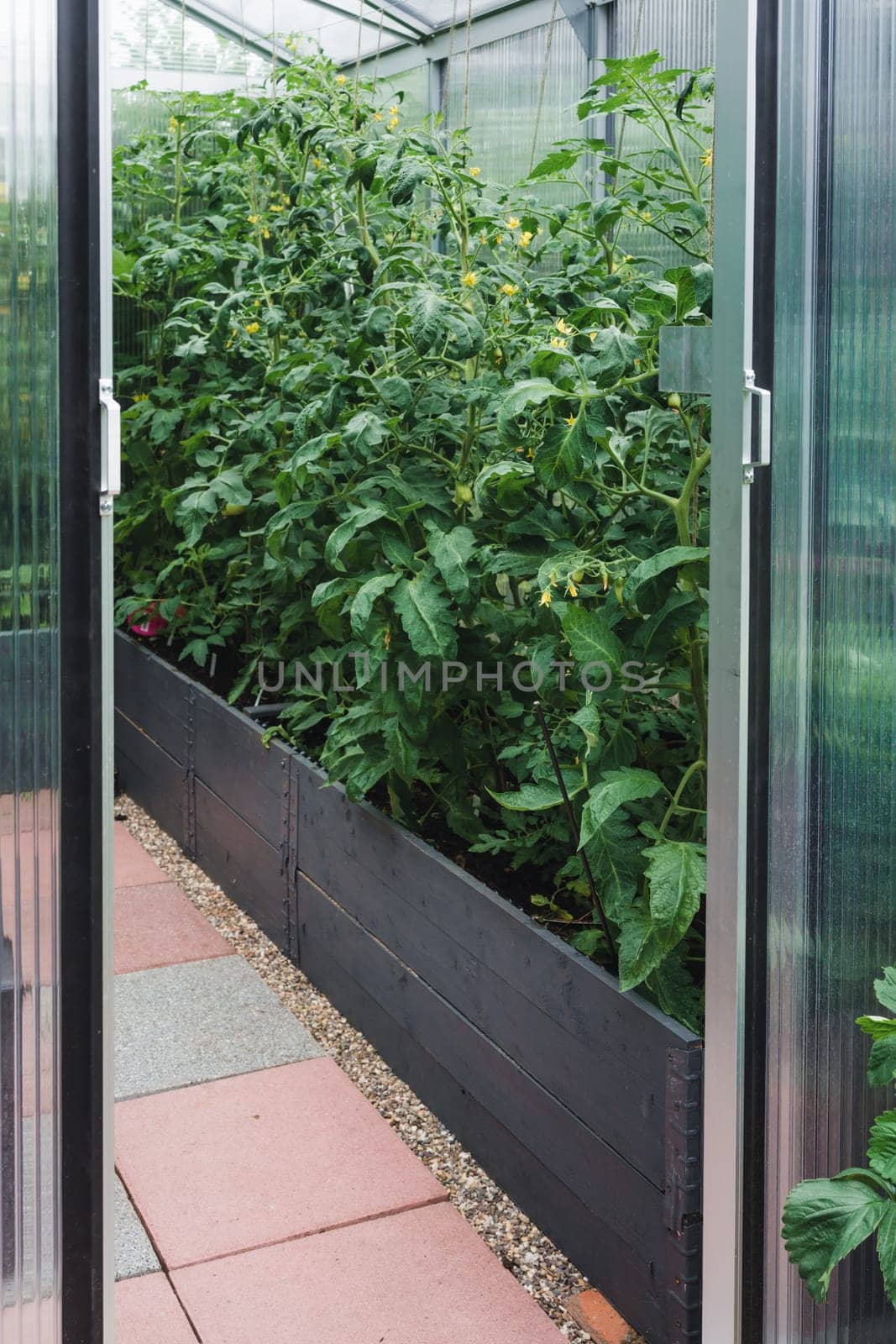 Greenhouse with extra thick poycarbonate panels for insulation in a garden