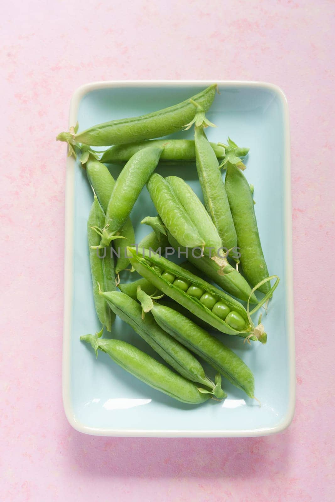 Fresh harvested peas on a light blue platter on a pink table