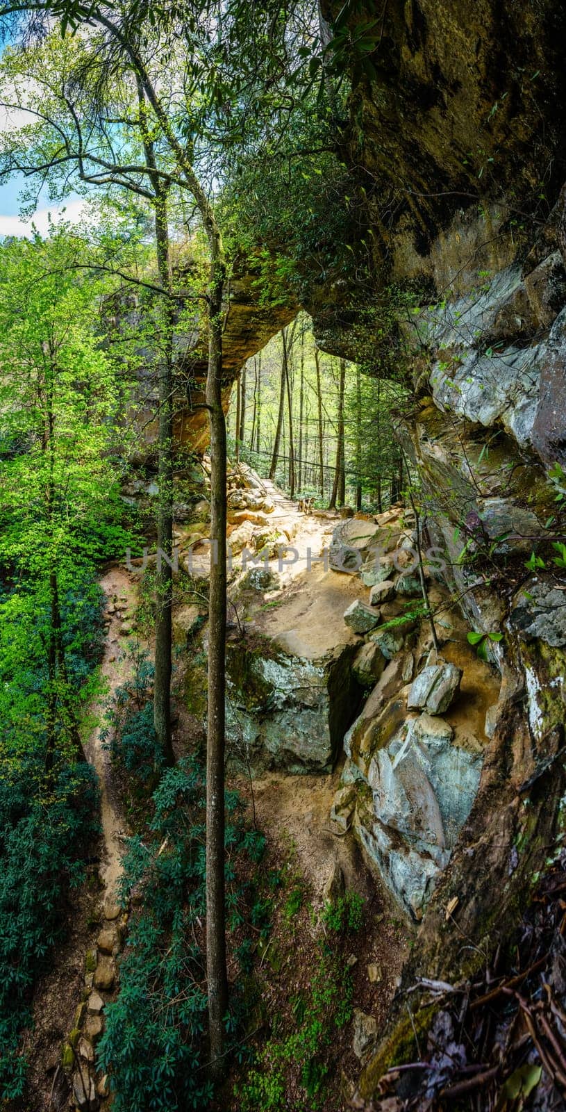 Scenic view of Grays Arch in Red River Gorge in Kentucky