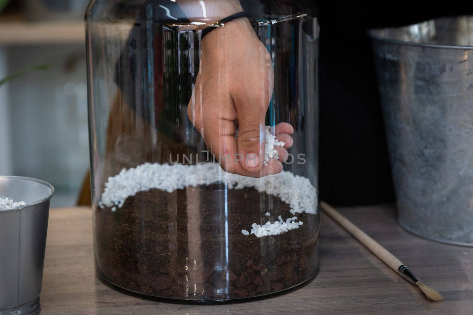 manufacturing a terrarium with plants