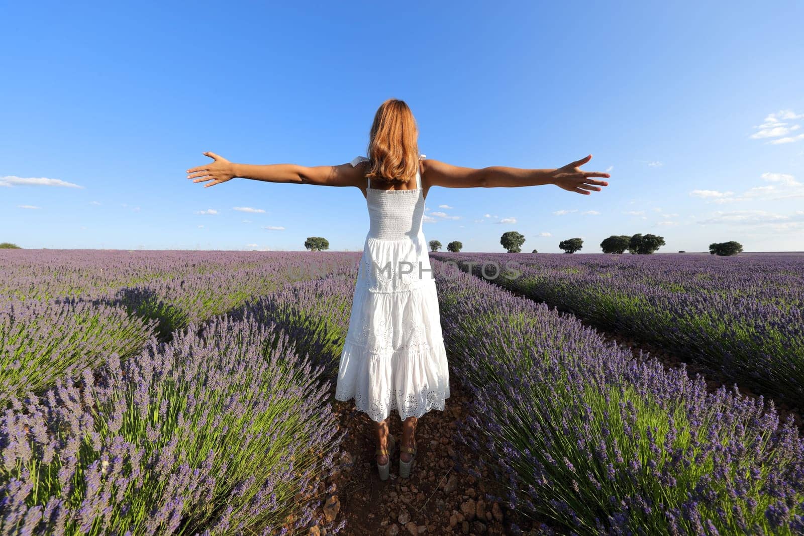 Back view of a woman wearing white dress outstretching arms in a lavender field