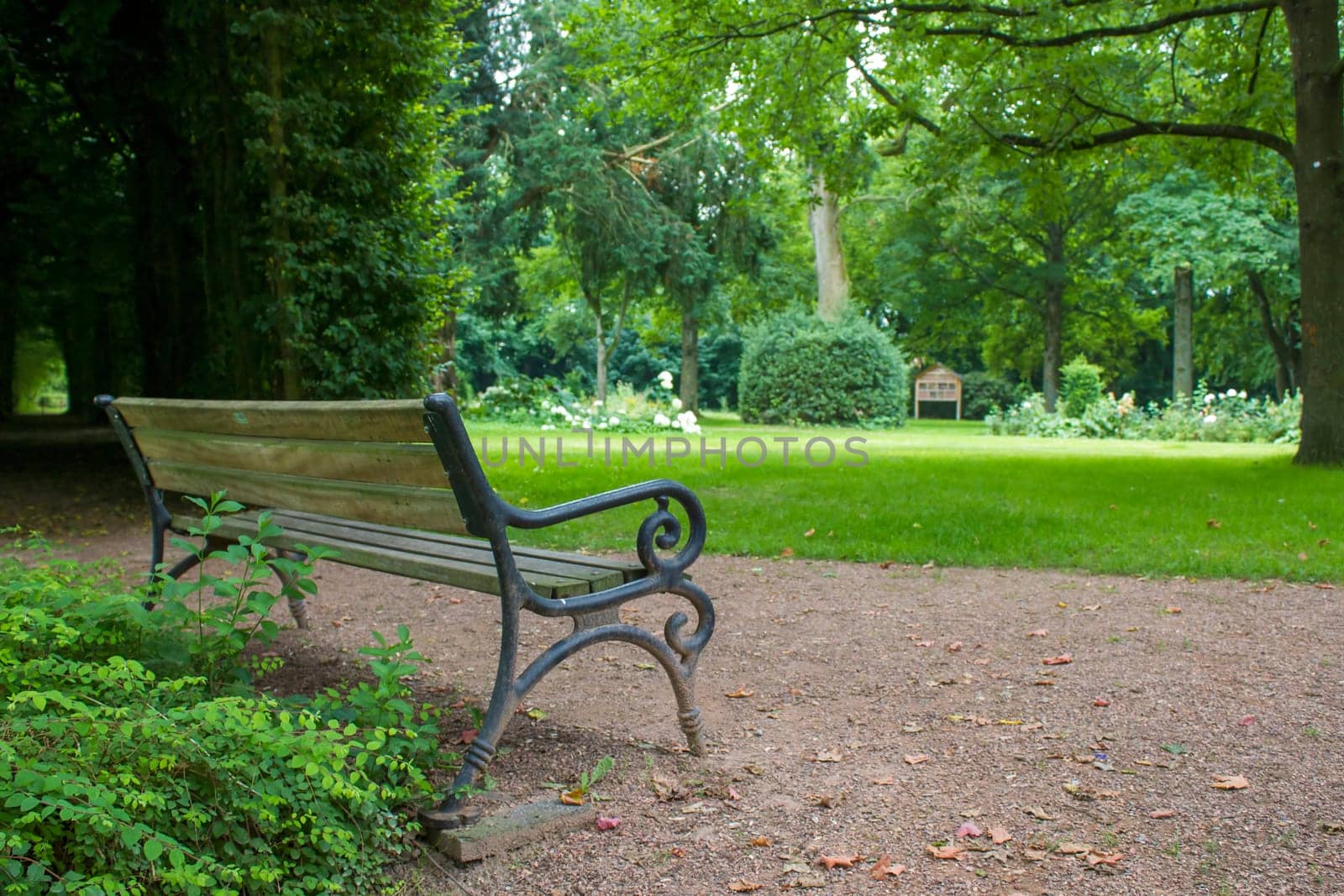 bench in a summer park in Issum, Germany