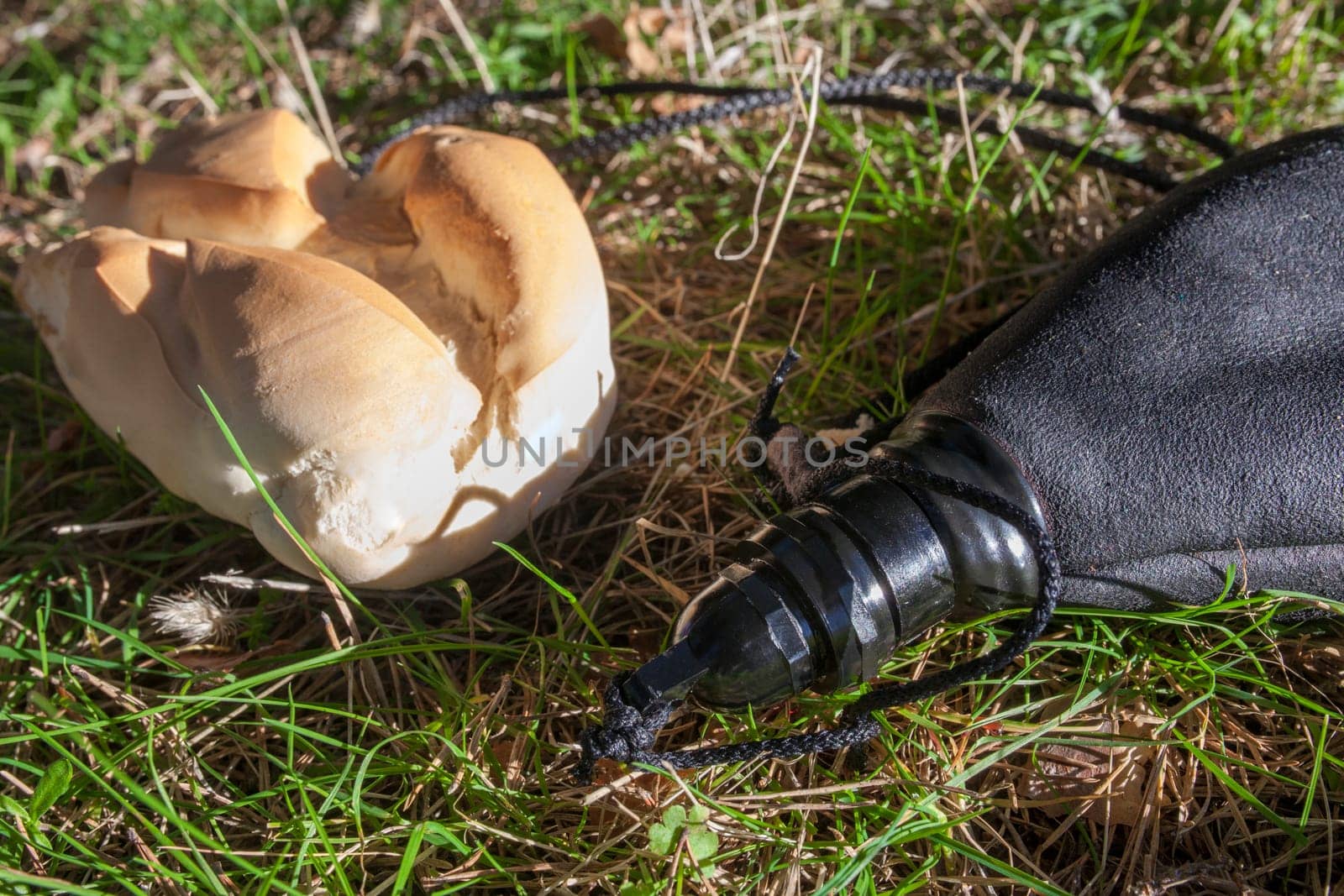 Wineskin or bota bag and bread over green grass. Traditional Spanish liquid receptacle