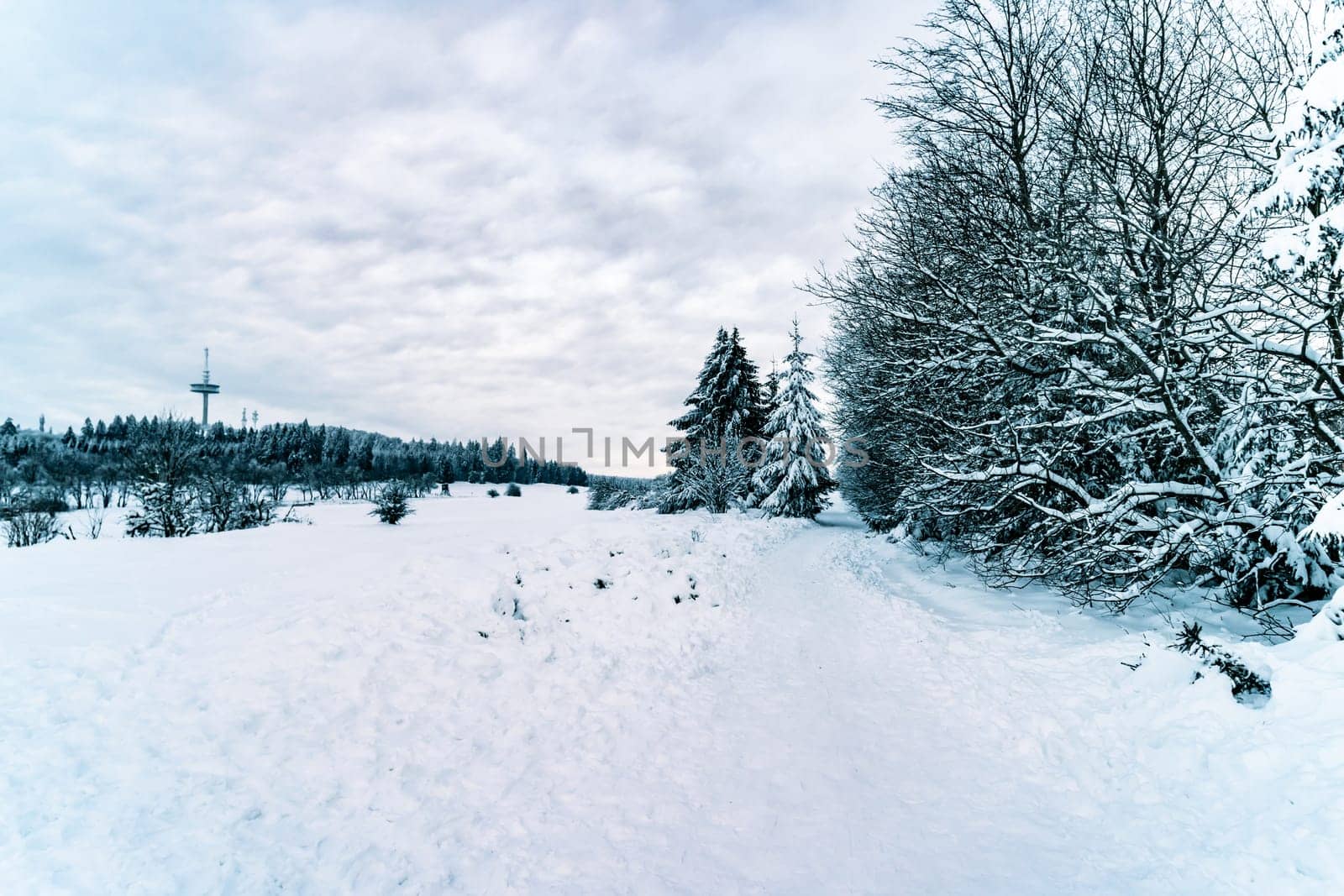Beautiful landsape scene with a lot of snow in winter in Hesse Germany