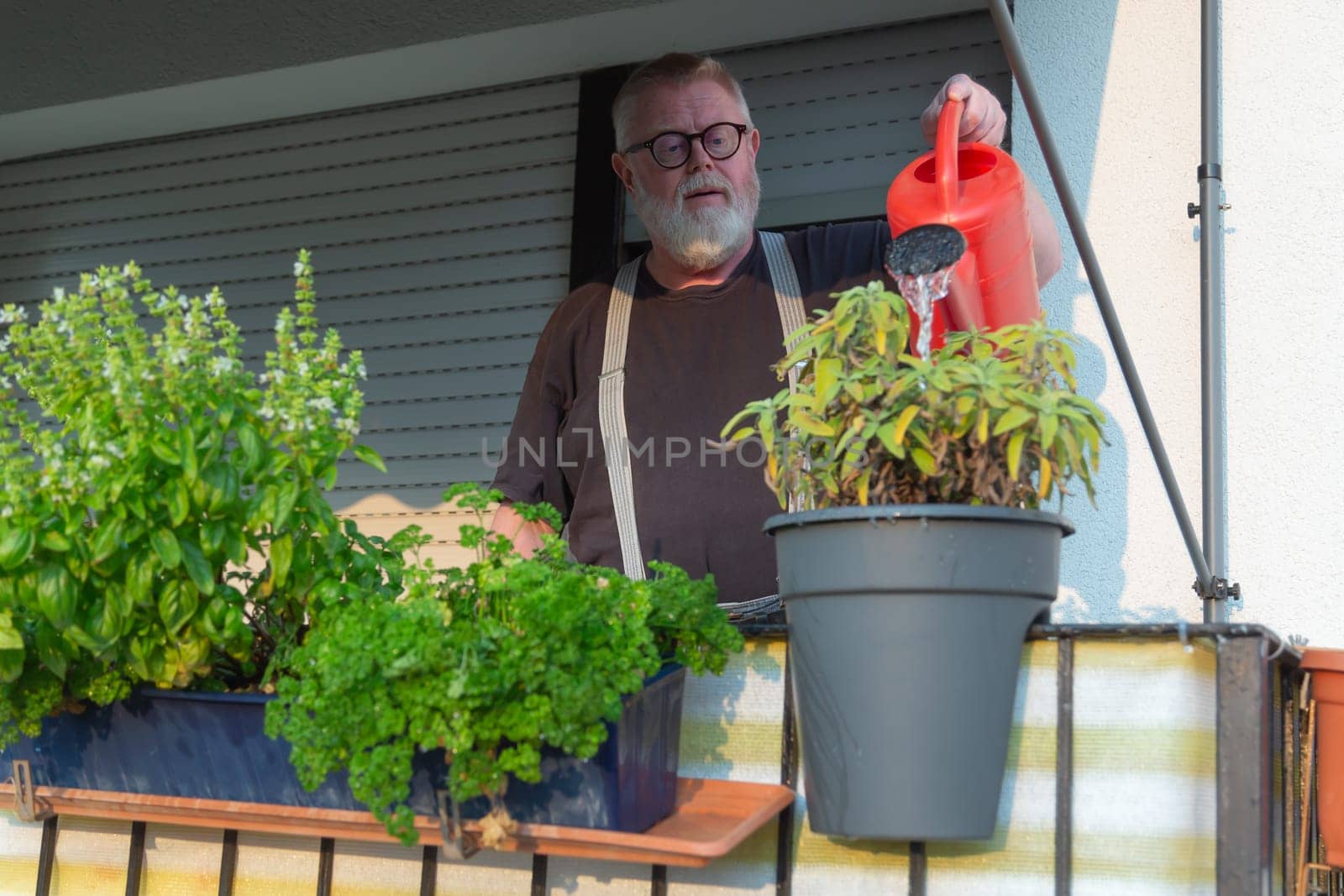 Man watering herbs on the balcony on a sunny day