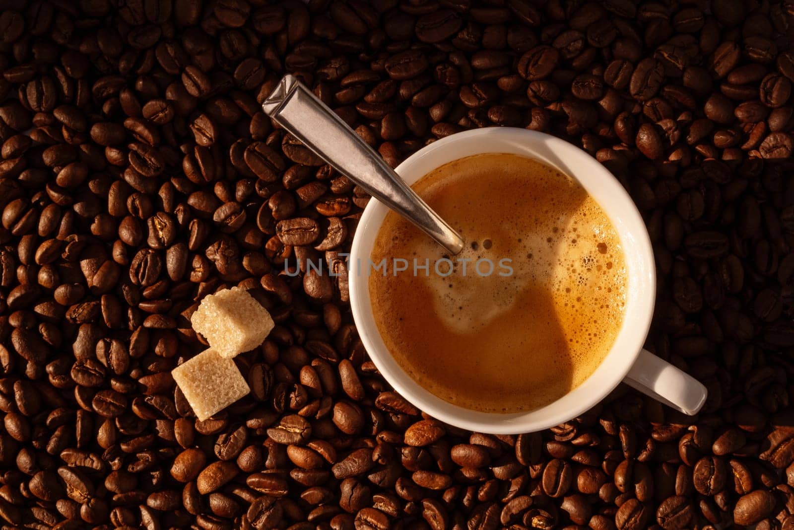 White coffee cup and coffee beans around, top view