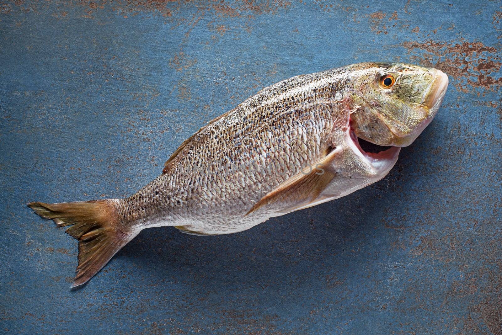 Delicious fresh fish on vintage blue background. Healthy diet eating or cooking concept