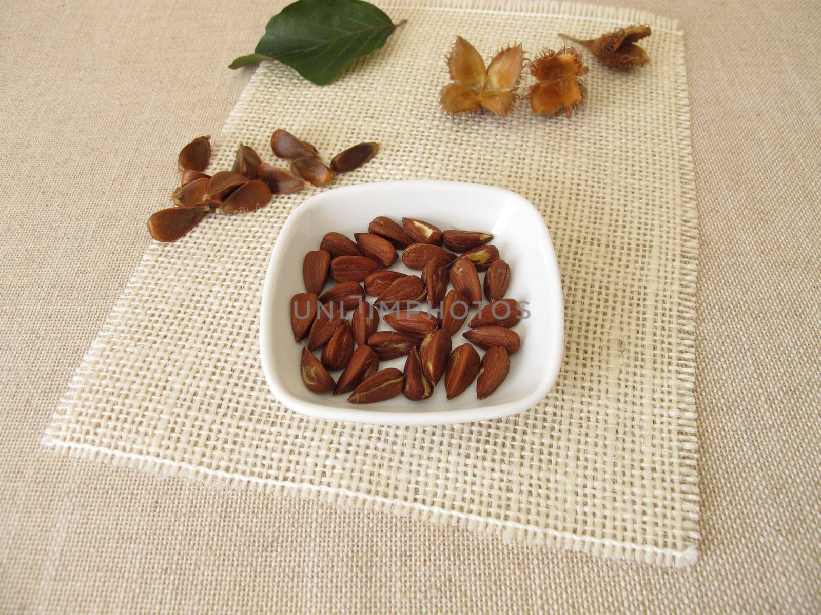 Shelled beech nuts in a small bowl