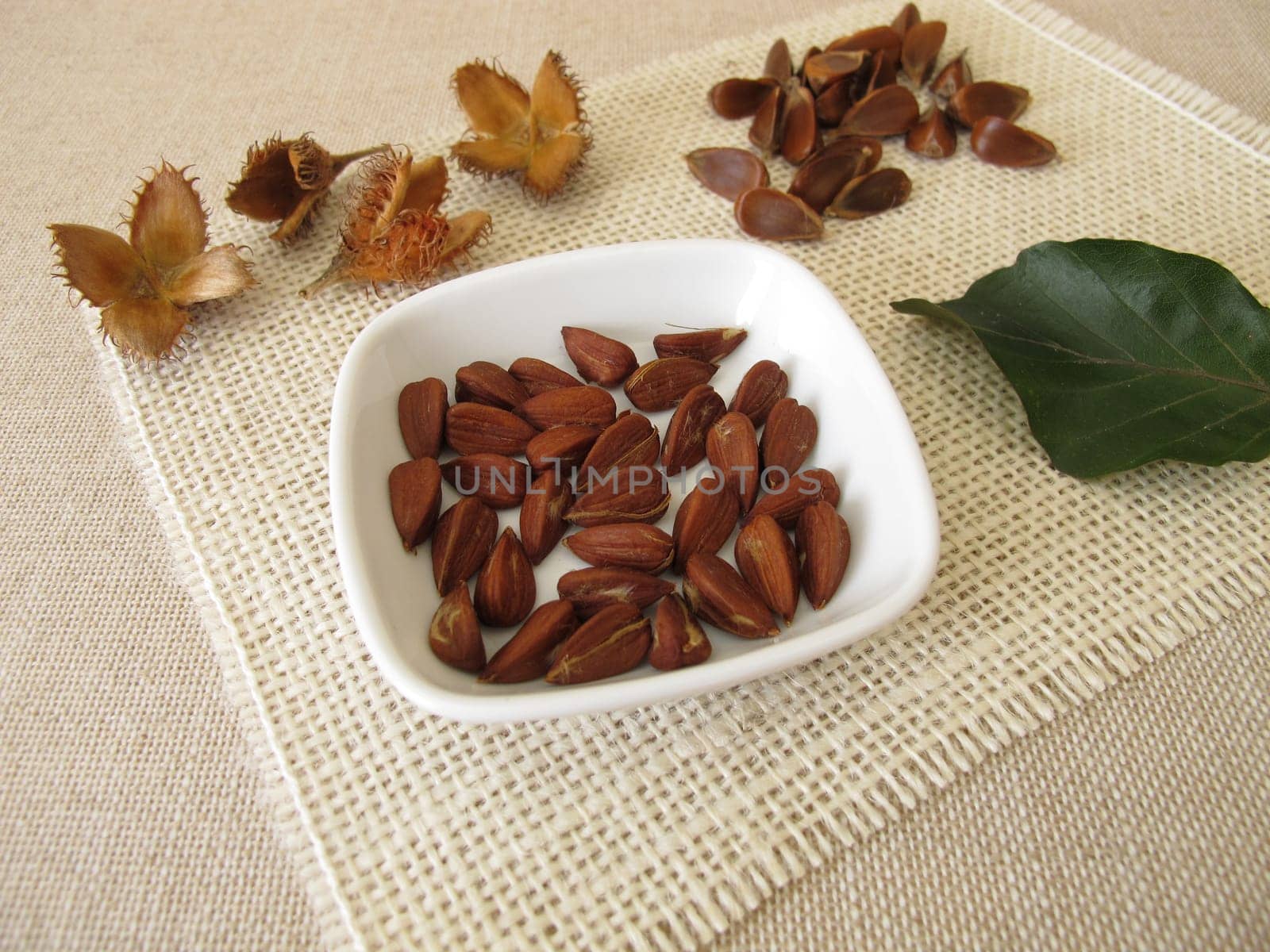 Shelled beech nuts in a small bowl