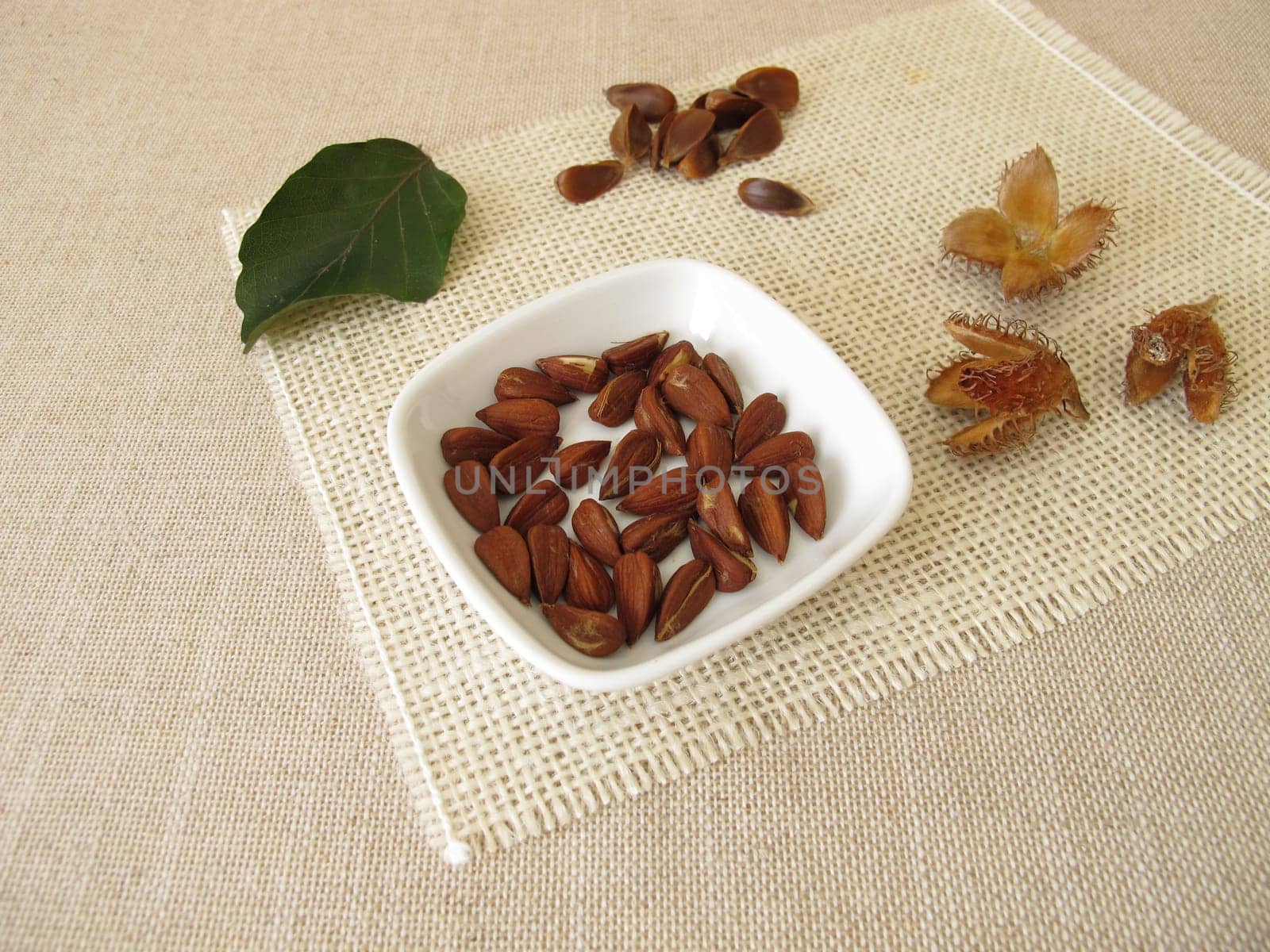 Shelled beech nuts in a small bowl