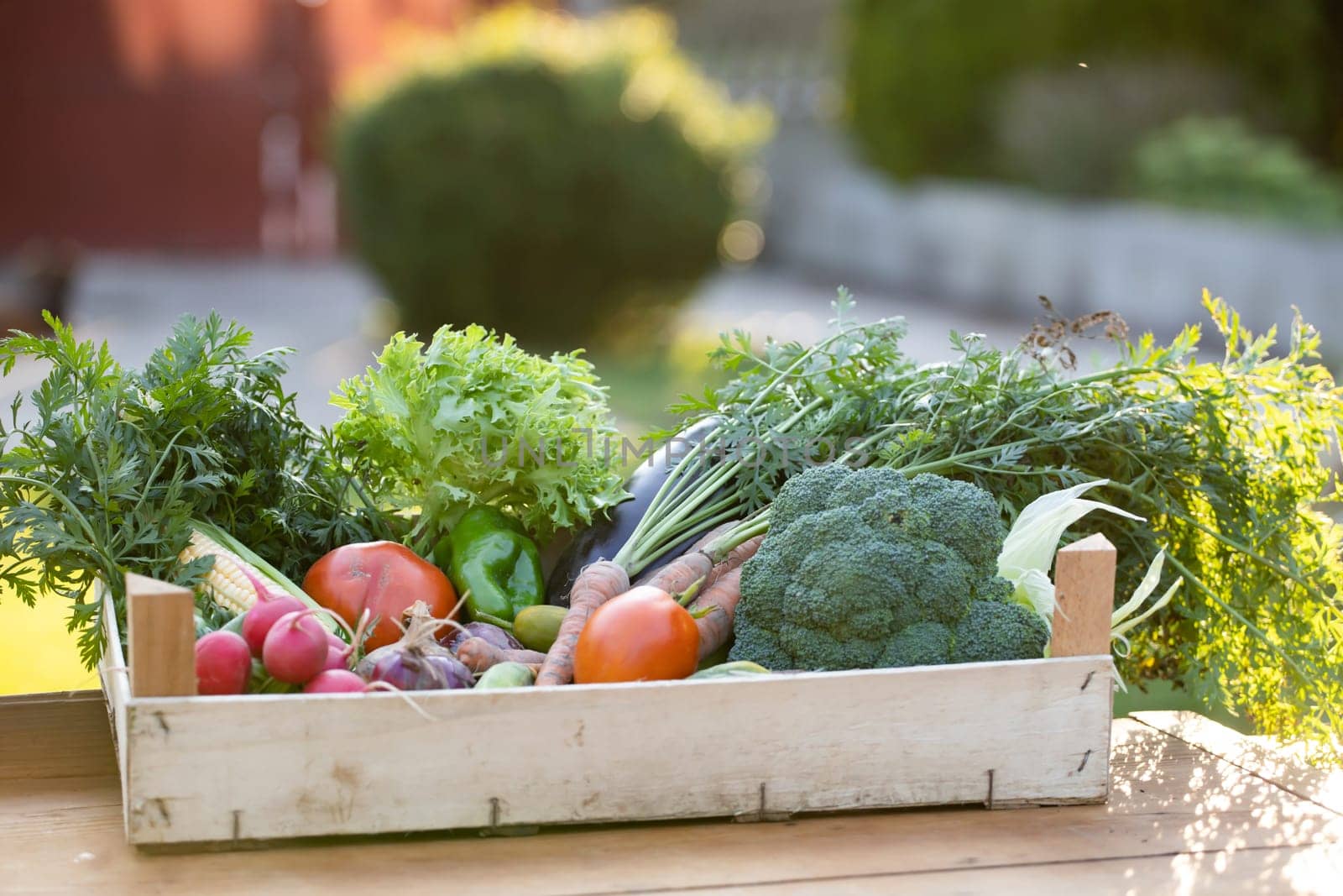 Fresh bio vegetable in a wooden box. The concept of healthy food.