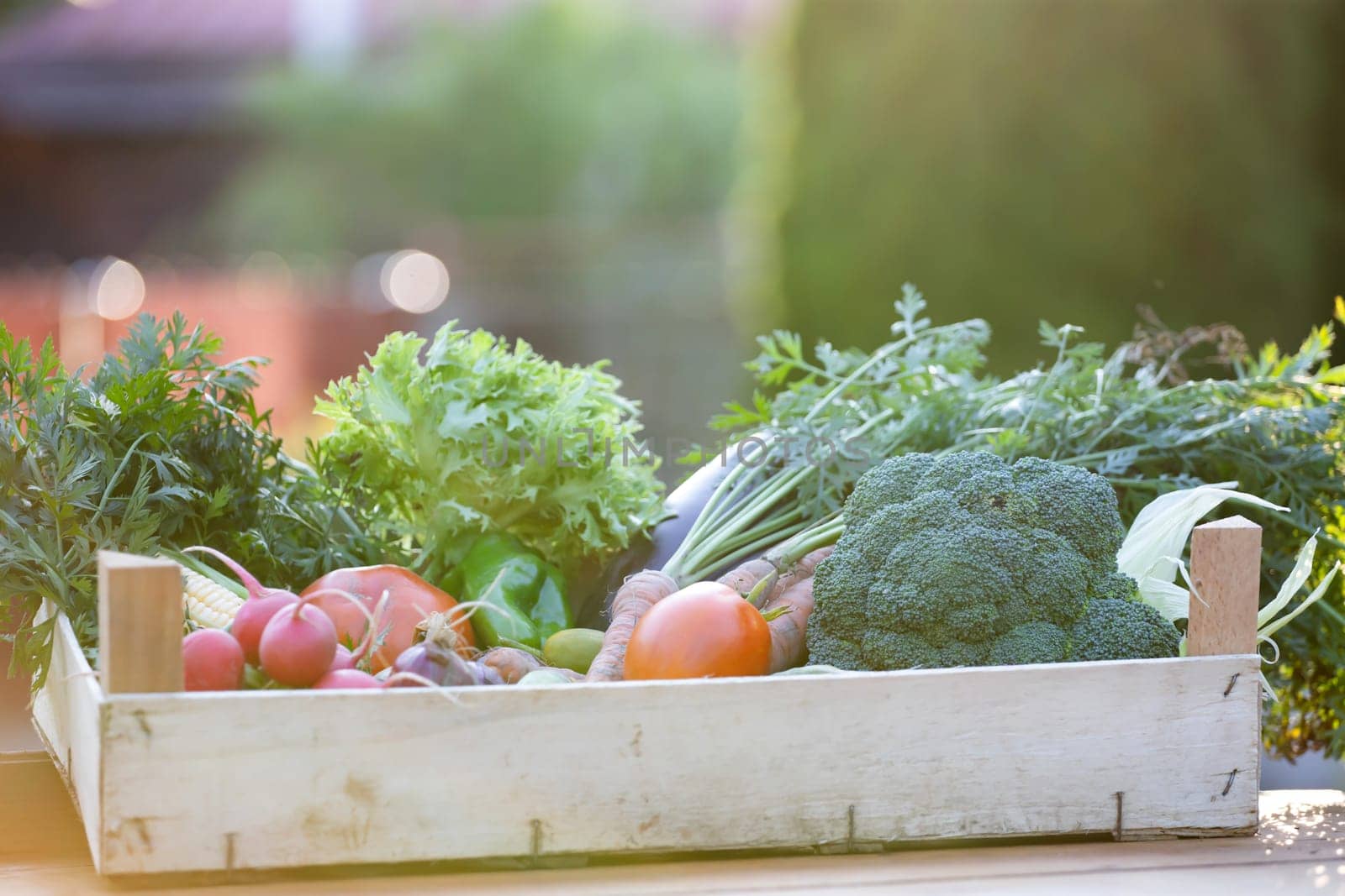 Fresh bio vegetable in a wooden box. The concept of healthy food.