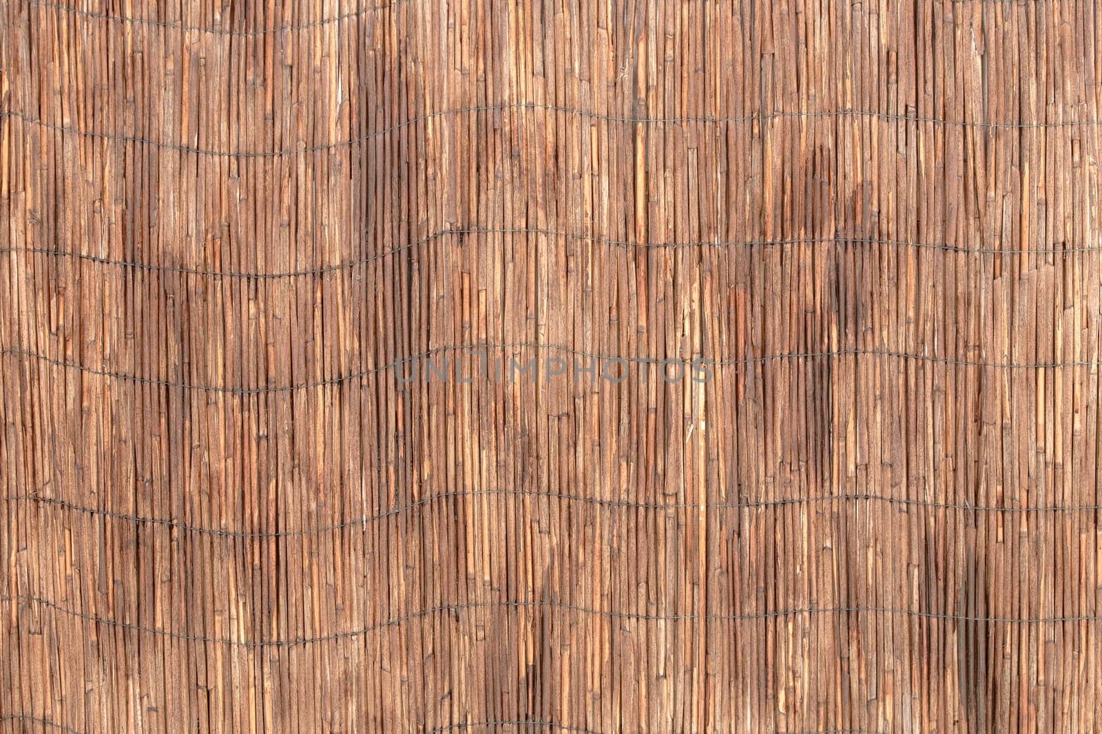 The reed wall background texture. Looks like bamboo. Close up